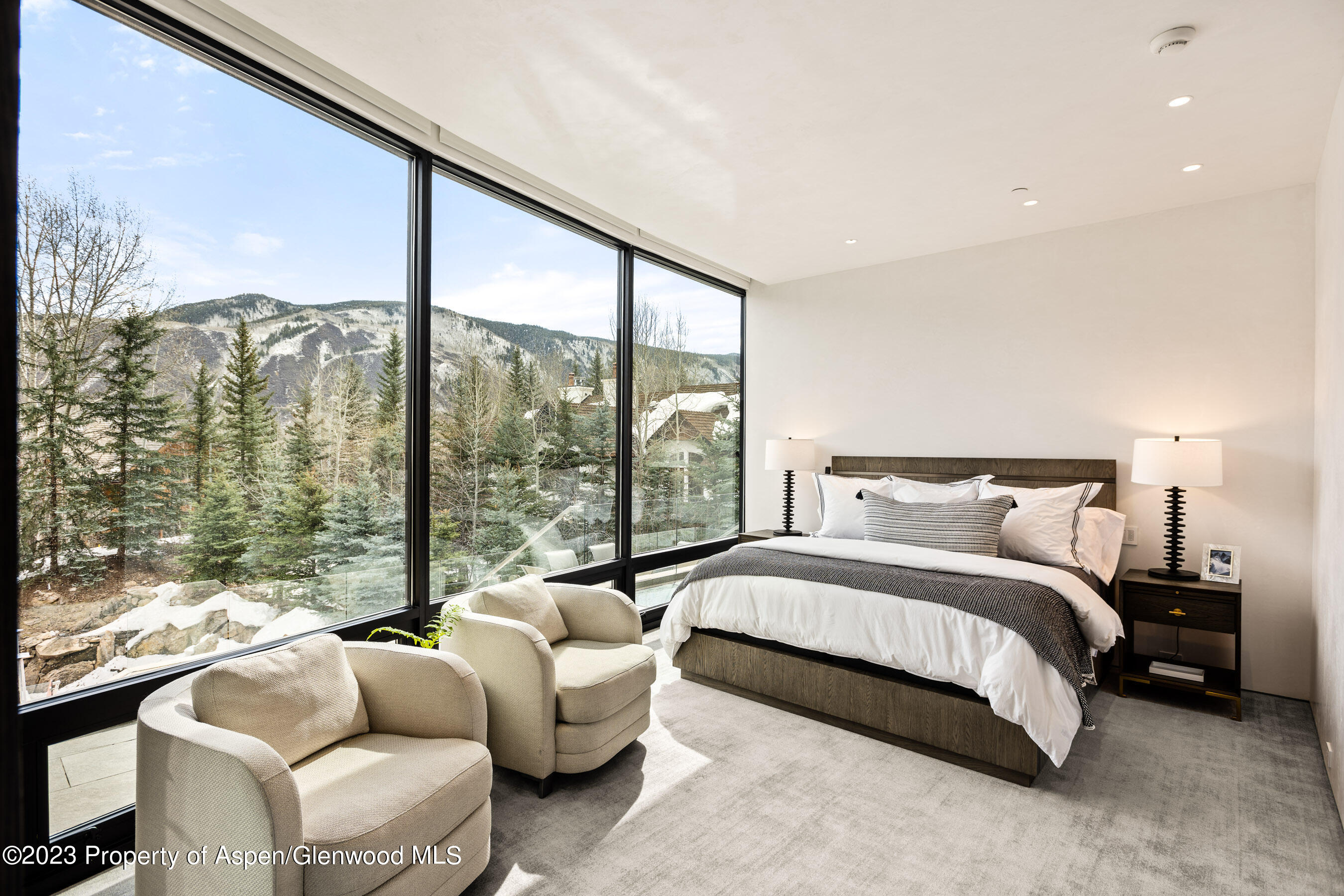 19 Little Cloud Trail Aspen CO 81611