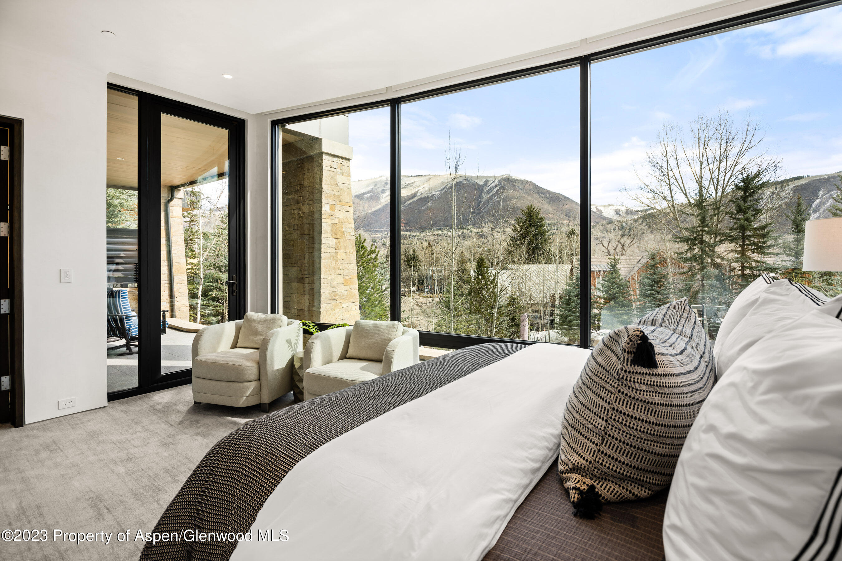 19 Little Cloud Trail Aspen CO 81611