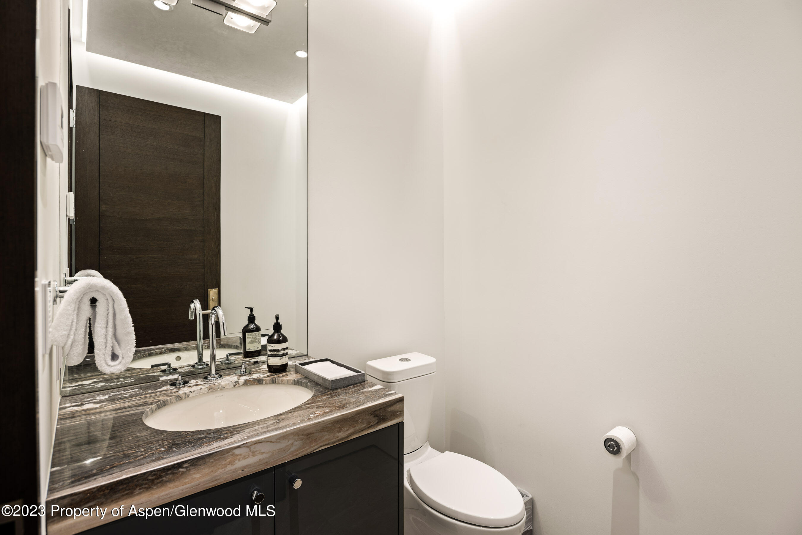 19 Little Cloud Trail Aspen CO 81611