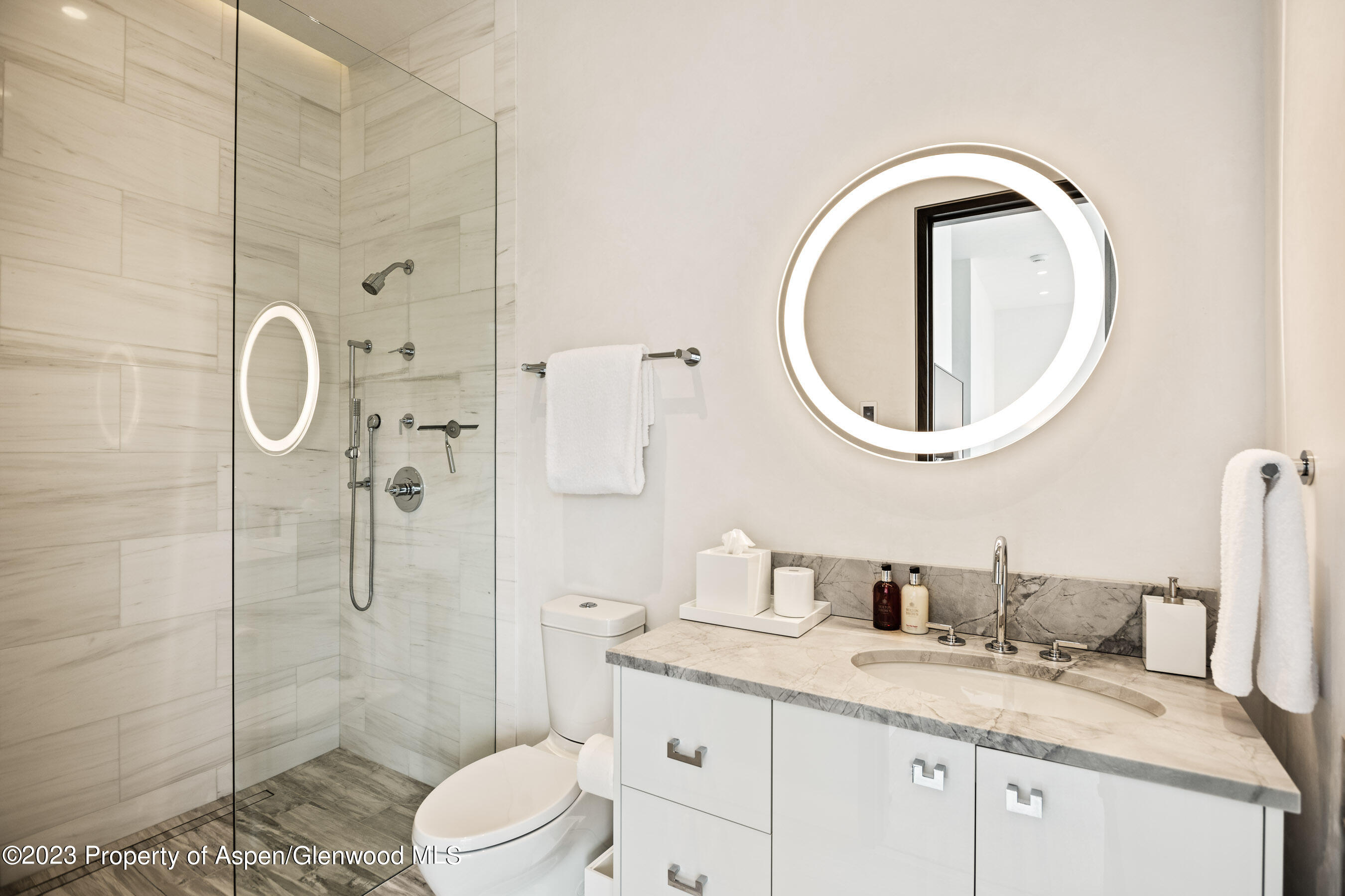 19 Little Cloud Trail Aspen CO 81611