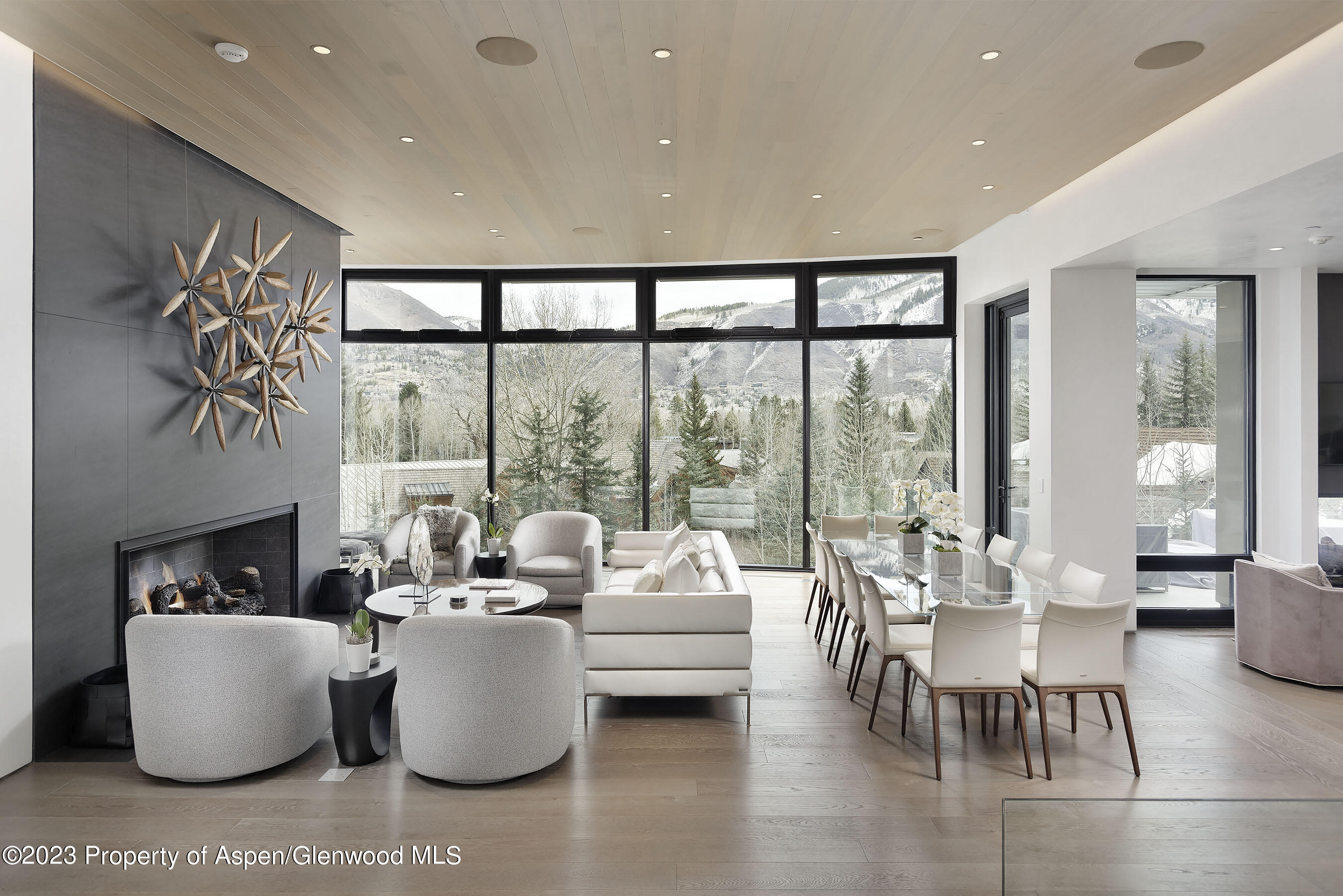 19 Little Cloud Trail Aspen CO 81611