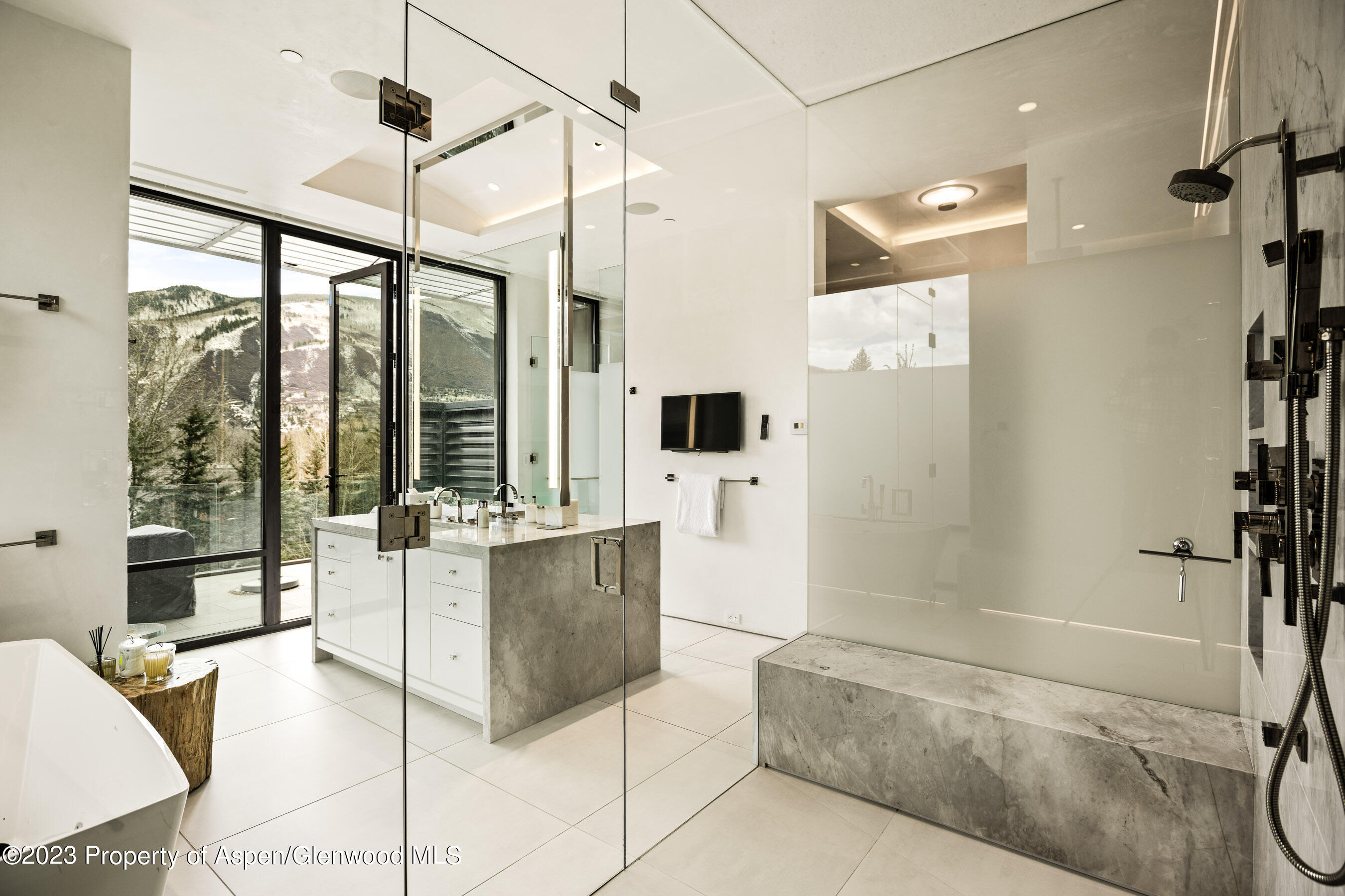 19 Little Cloud Trail Aspen CO 81611