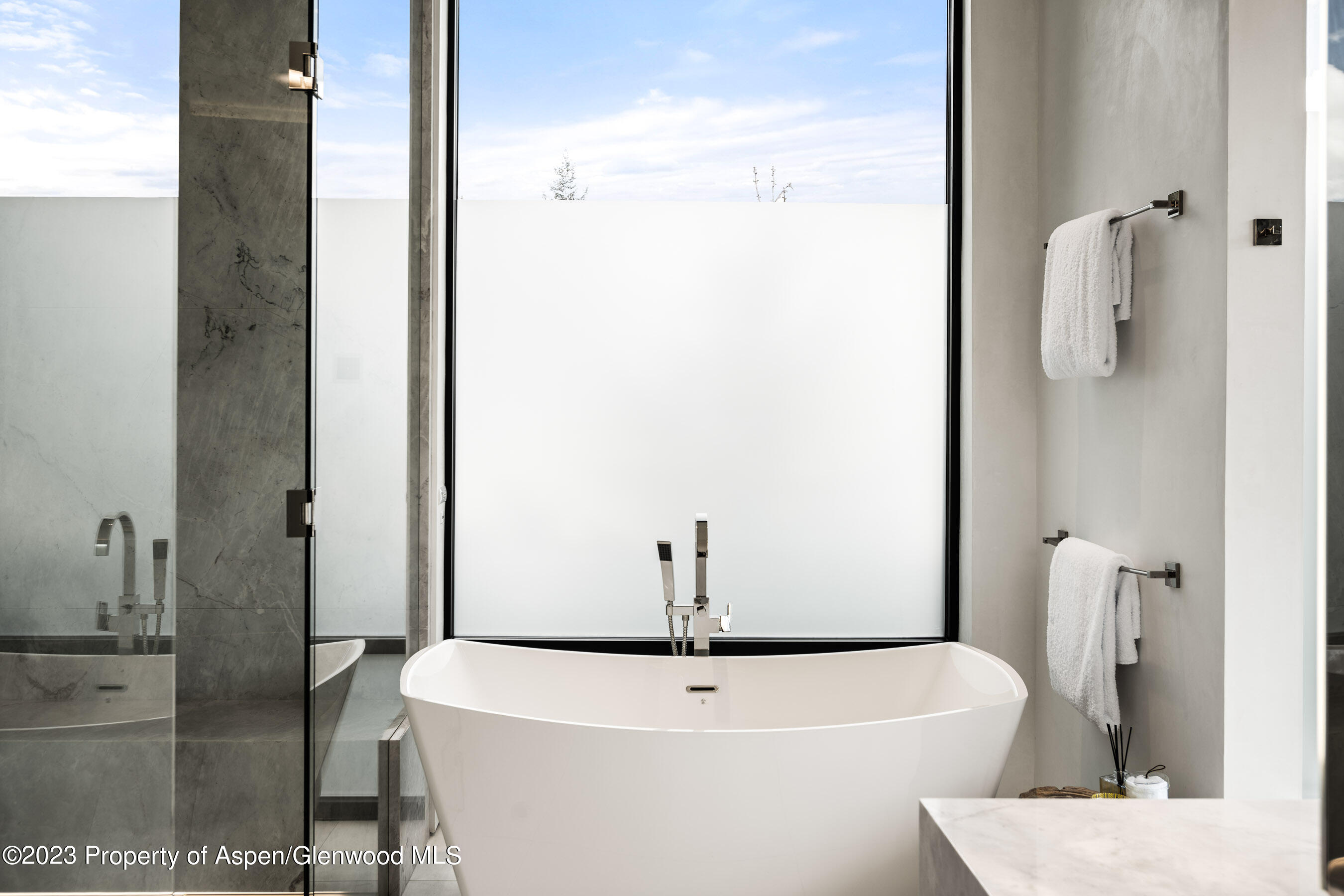 19 Little Cloud Trail Aspen CO 81611