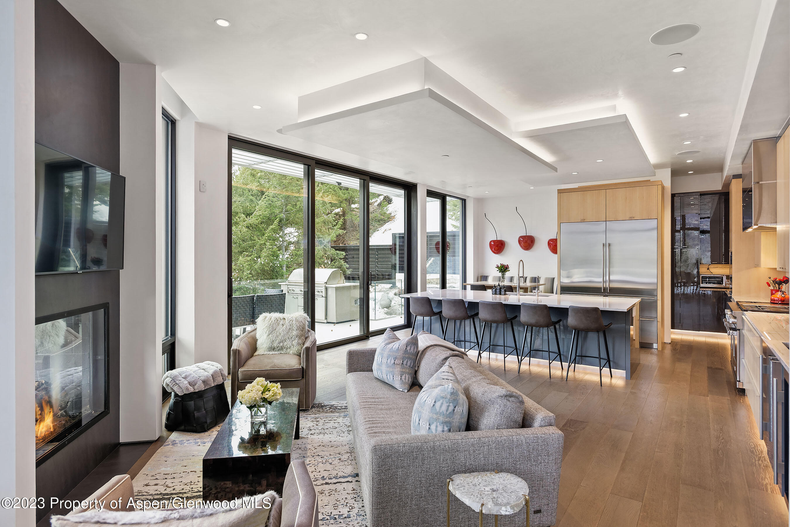 19 Little Cloud Trail Aspen CO 81611