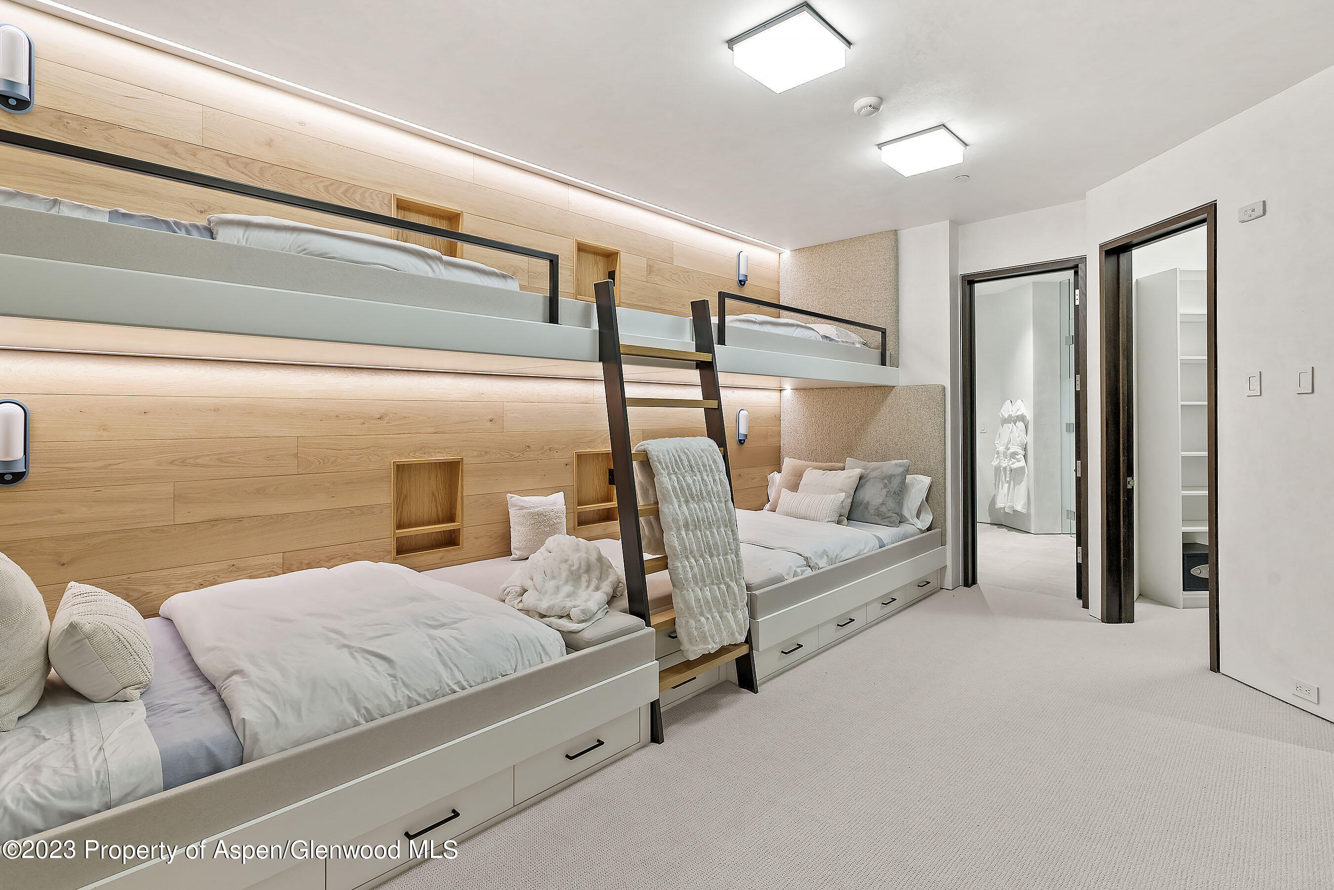 19 Little Cloud Trail Aspen CO 81611