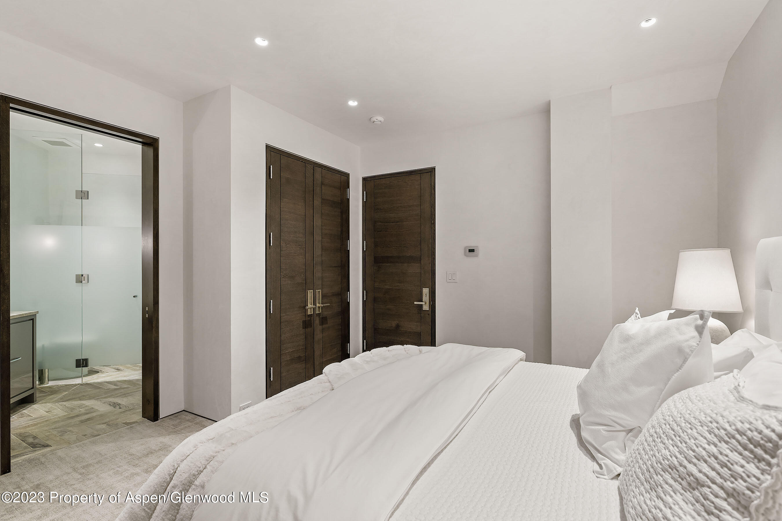 19 Little Cloud Trail Aspen CO 81611