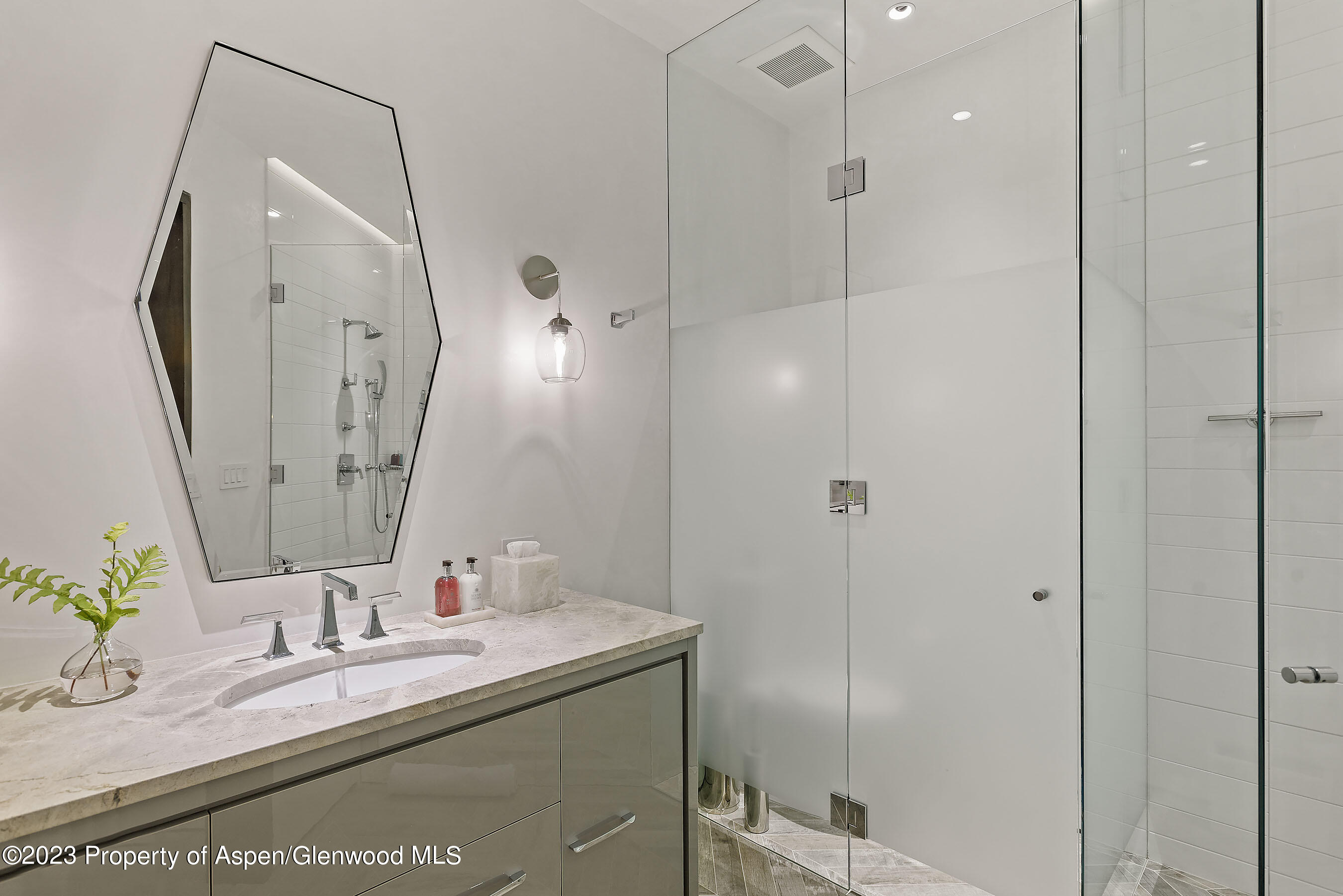 19 Little Cloud Trail Aspen CO 81611