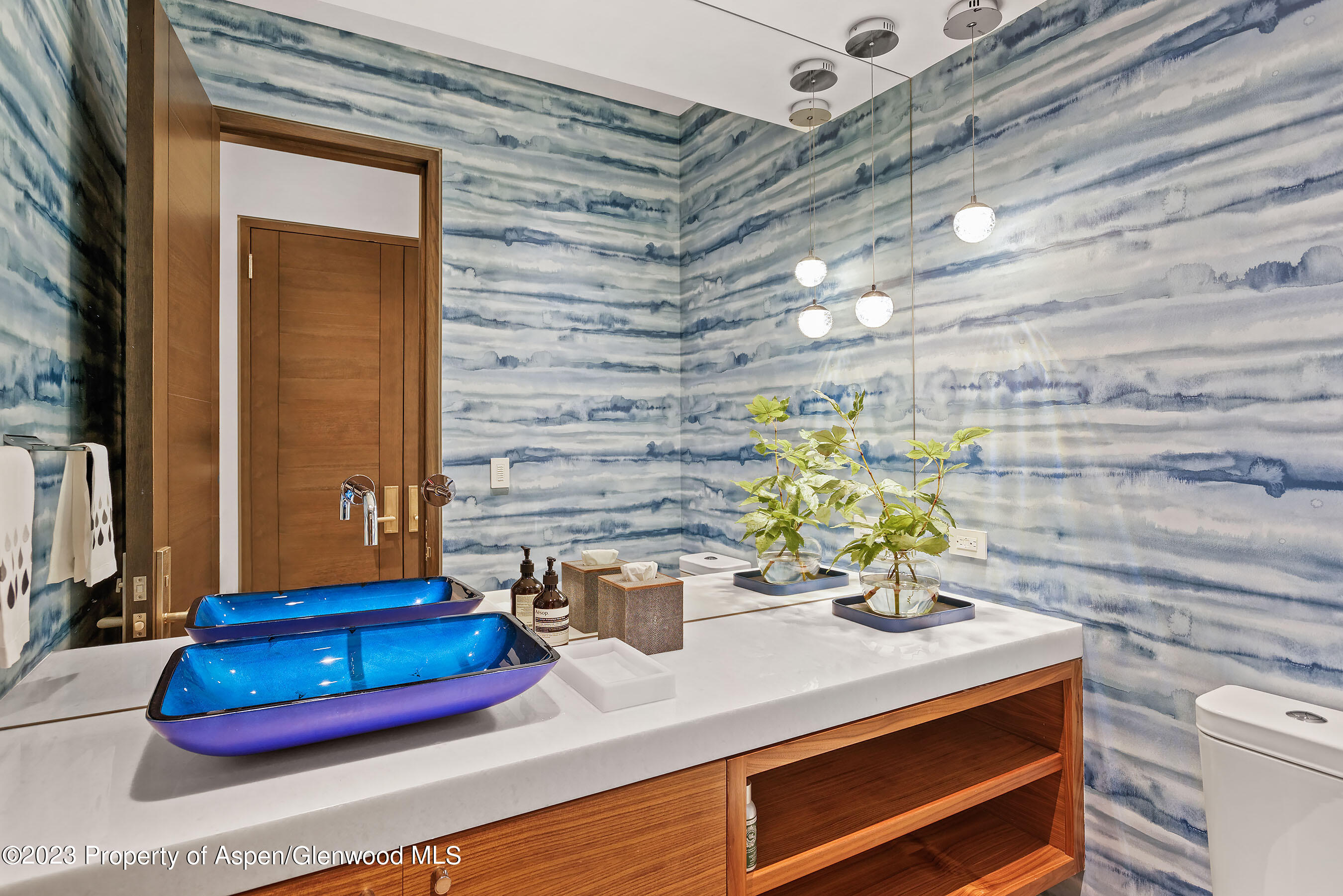 19 Little Cloud Trail Aspen CO 81611