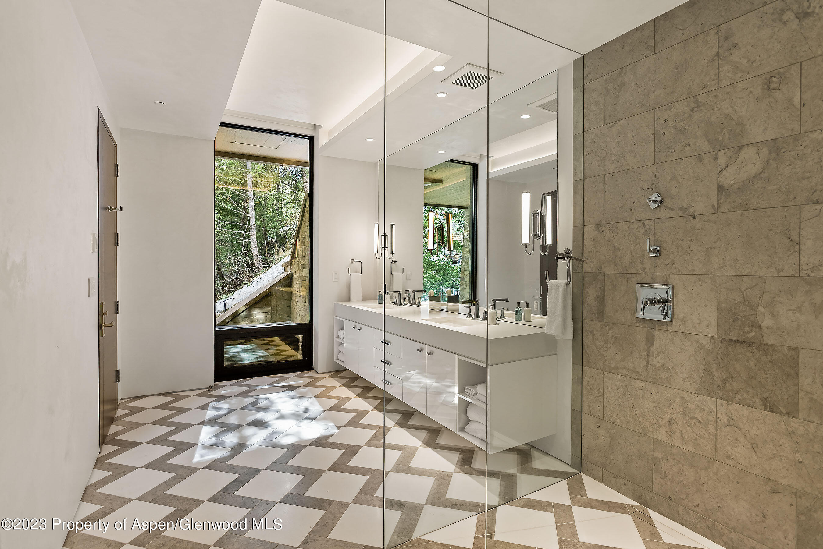 19 Little Cloud Trail Aspen CO 81611