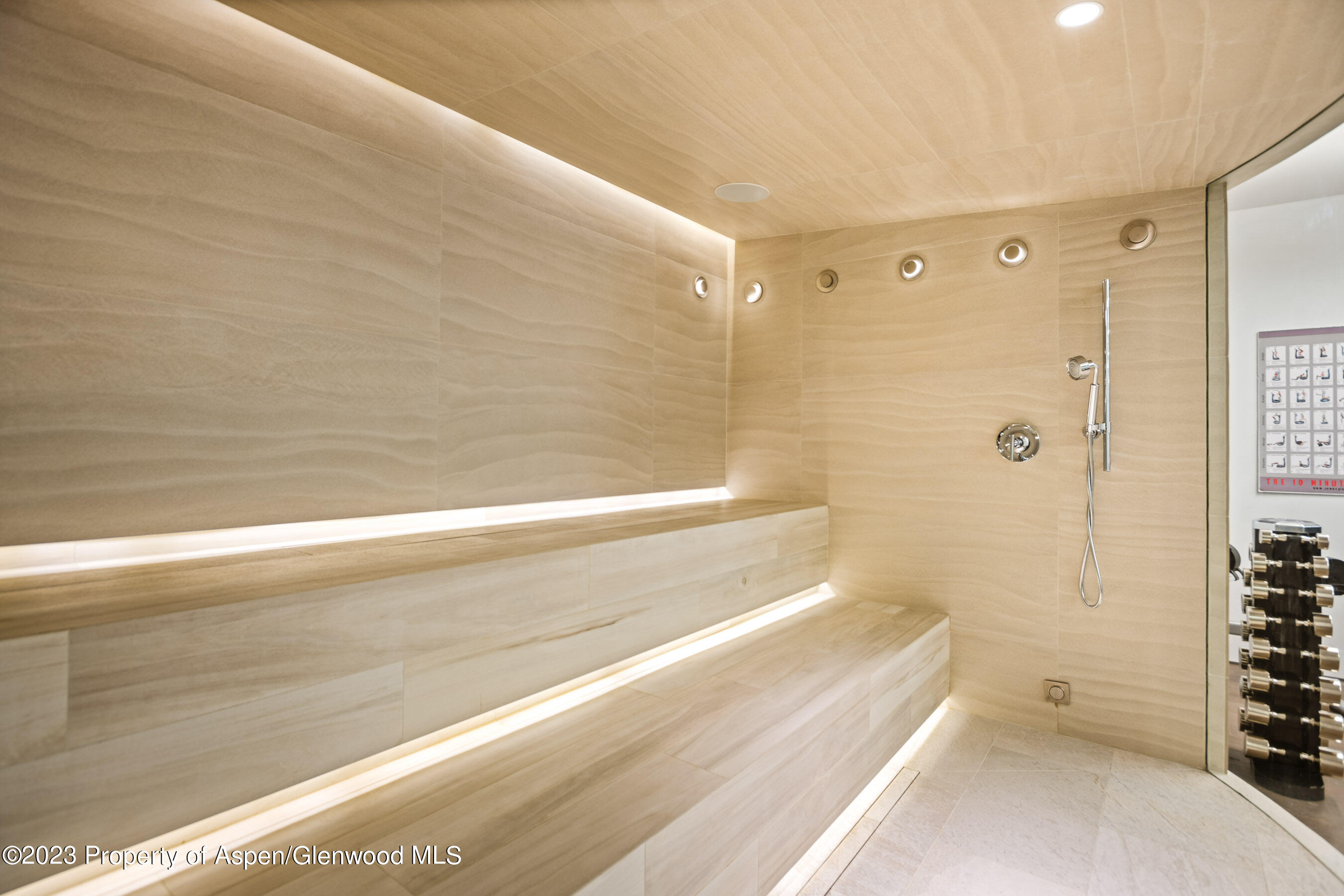 19 Little Cloud Trail Aspen CO 81611