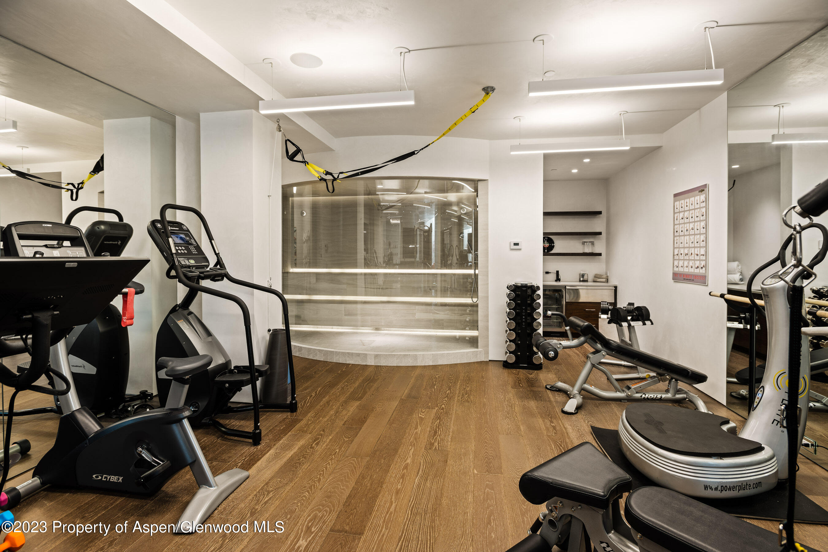 19 Little Cloud Trail Aspen CO 81611