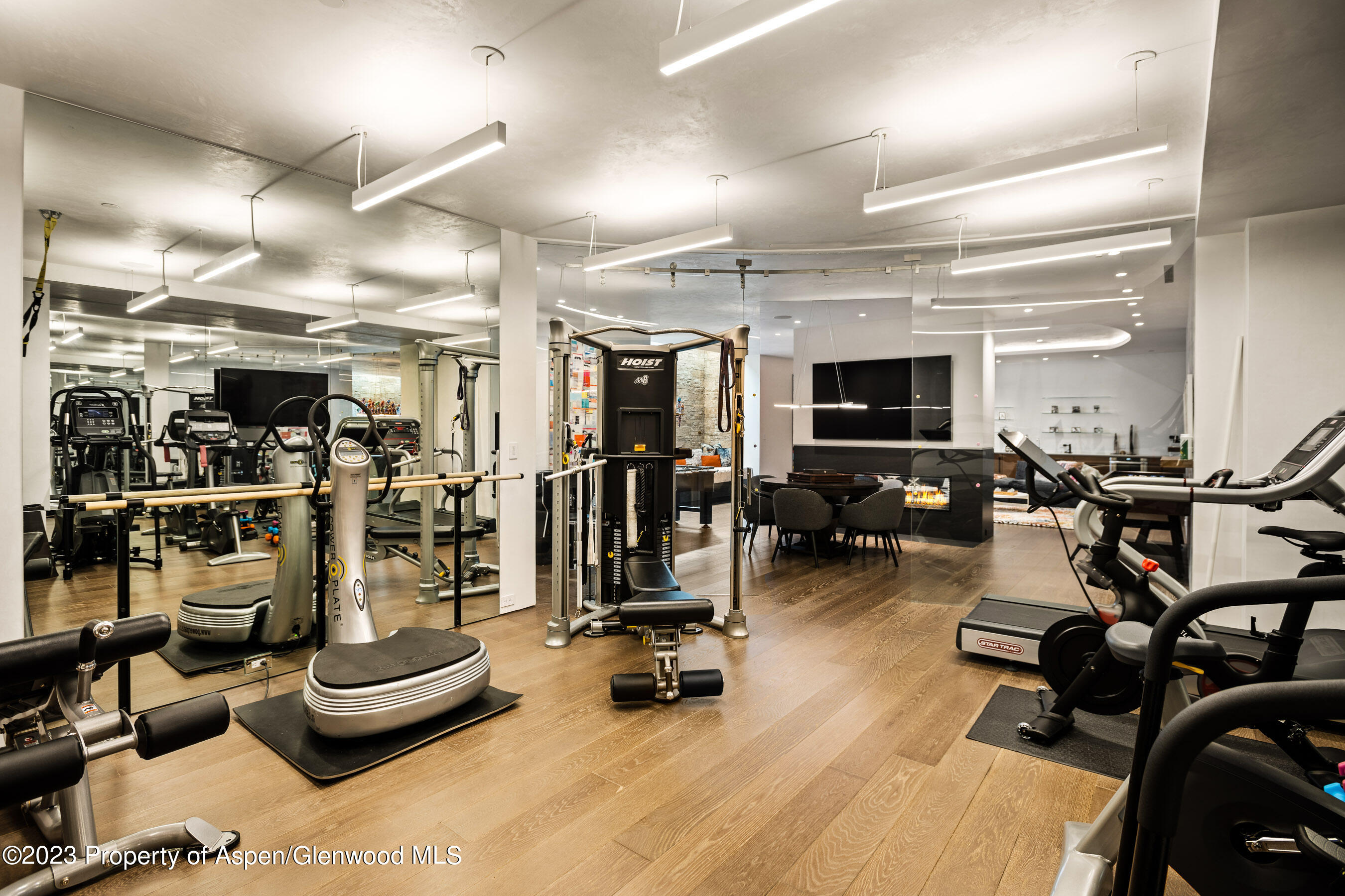 19 Little Cloud Trail Aspen CO 81611