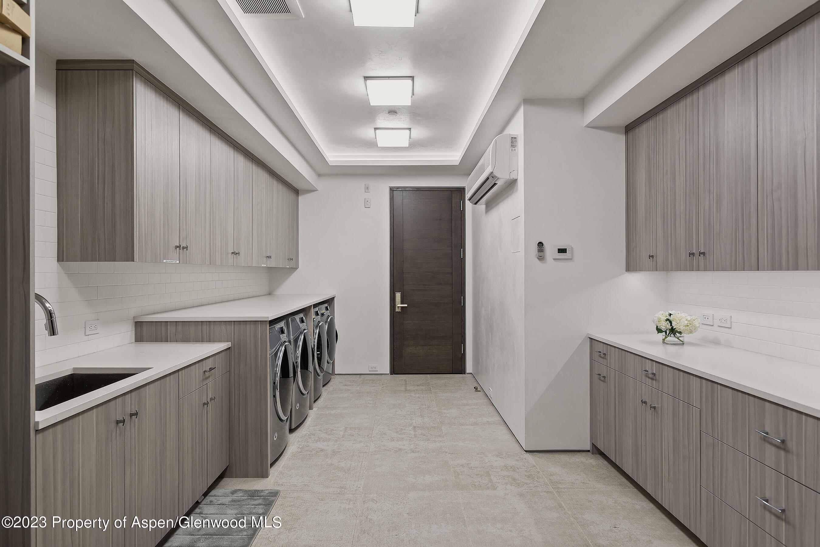 19 Little Cloud Trail Aspen CO 81611