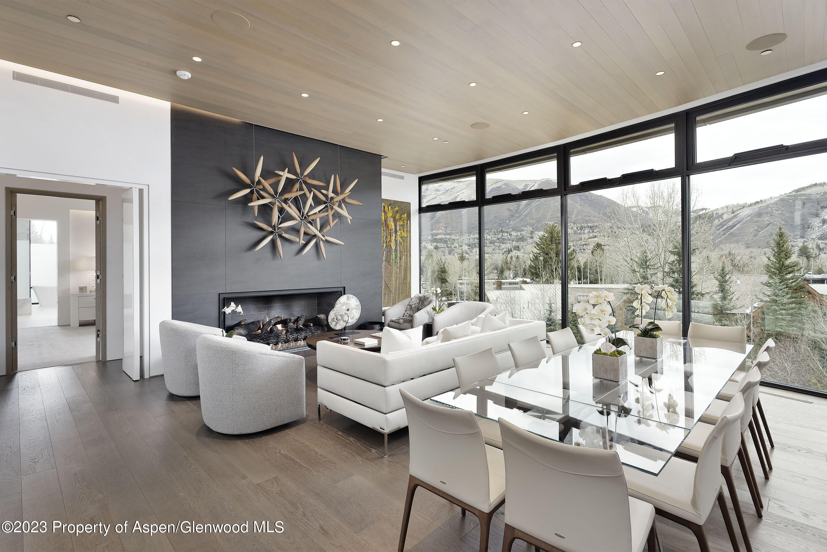 19 Little Cloud Trail Aspen CO 81611