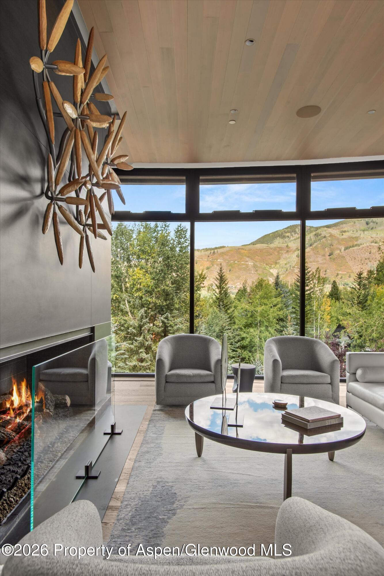 19 Little Cloud Trail Aspen CO 81611