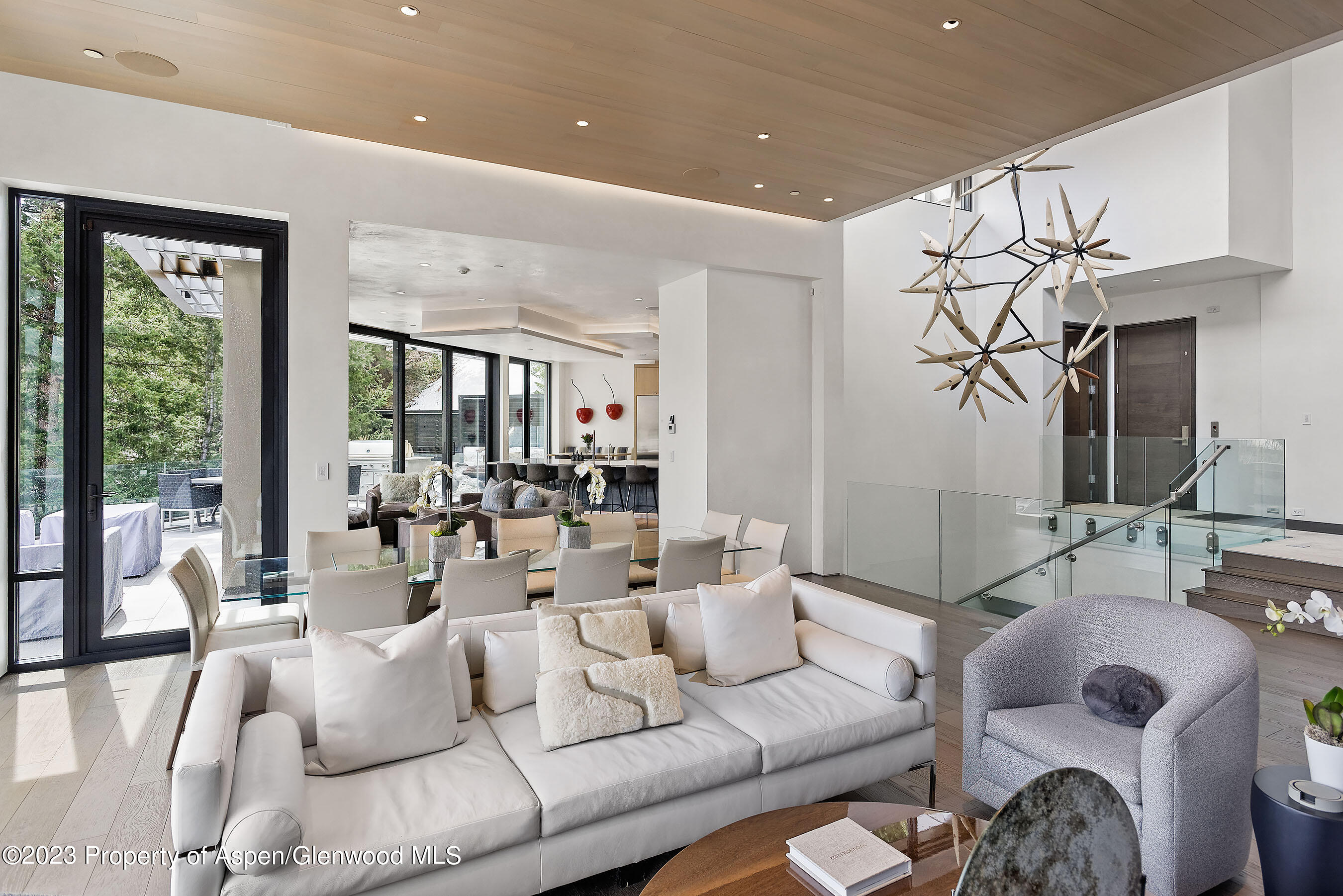 19 Little Cloud Trail Aspen CO 81611