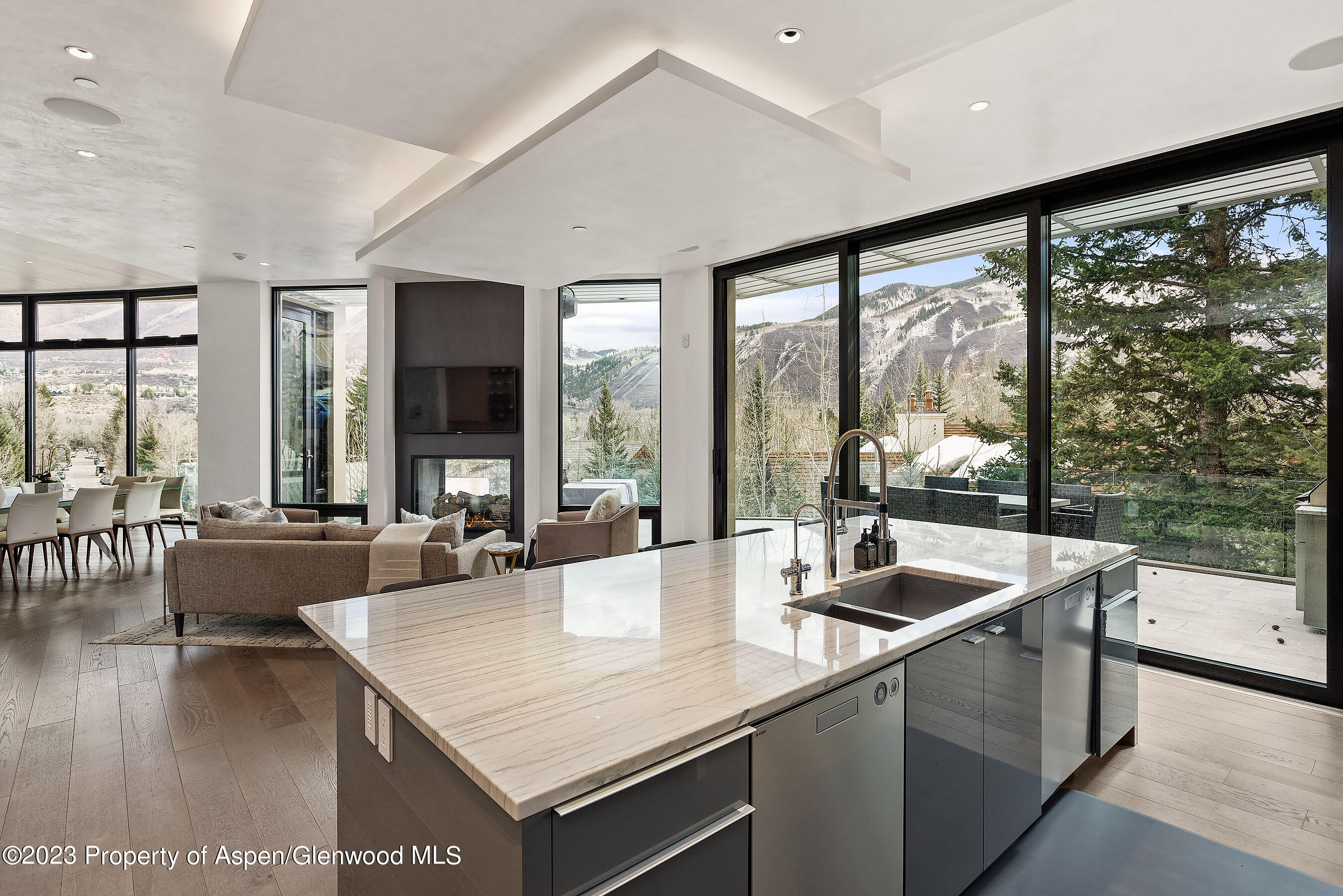 19 Little Cloud Trail Aspen CO 81611