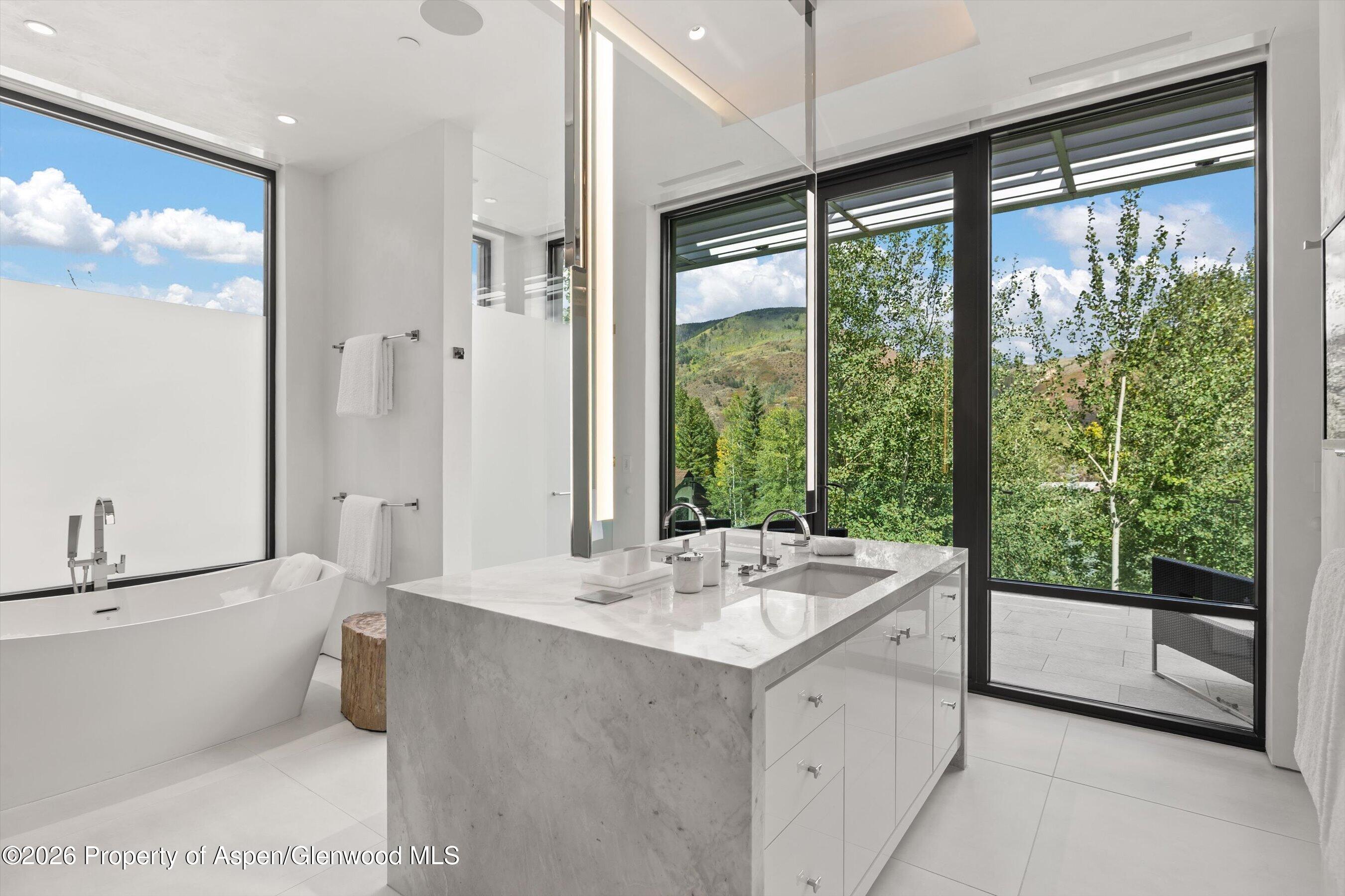 19 Little Cloud Trail Aspen CO 81611
