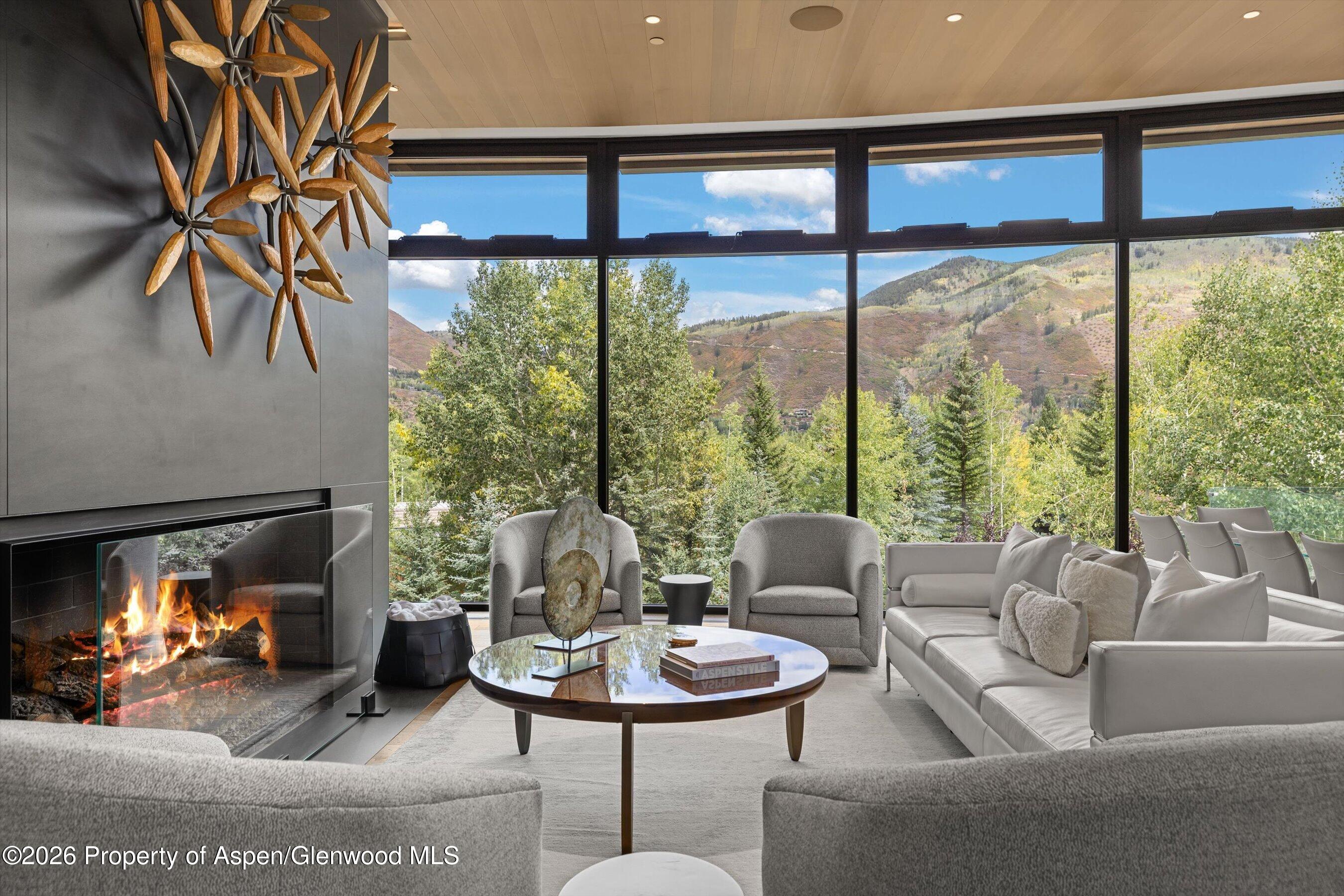 19 Little Cloud Trail Aspen CO 81611