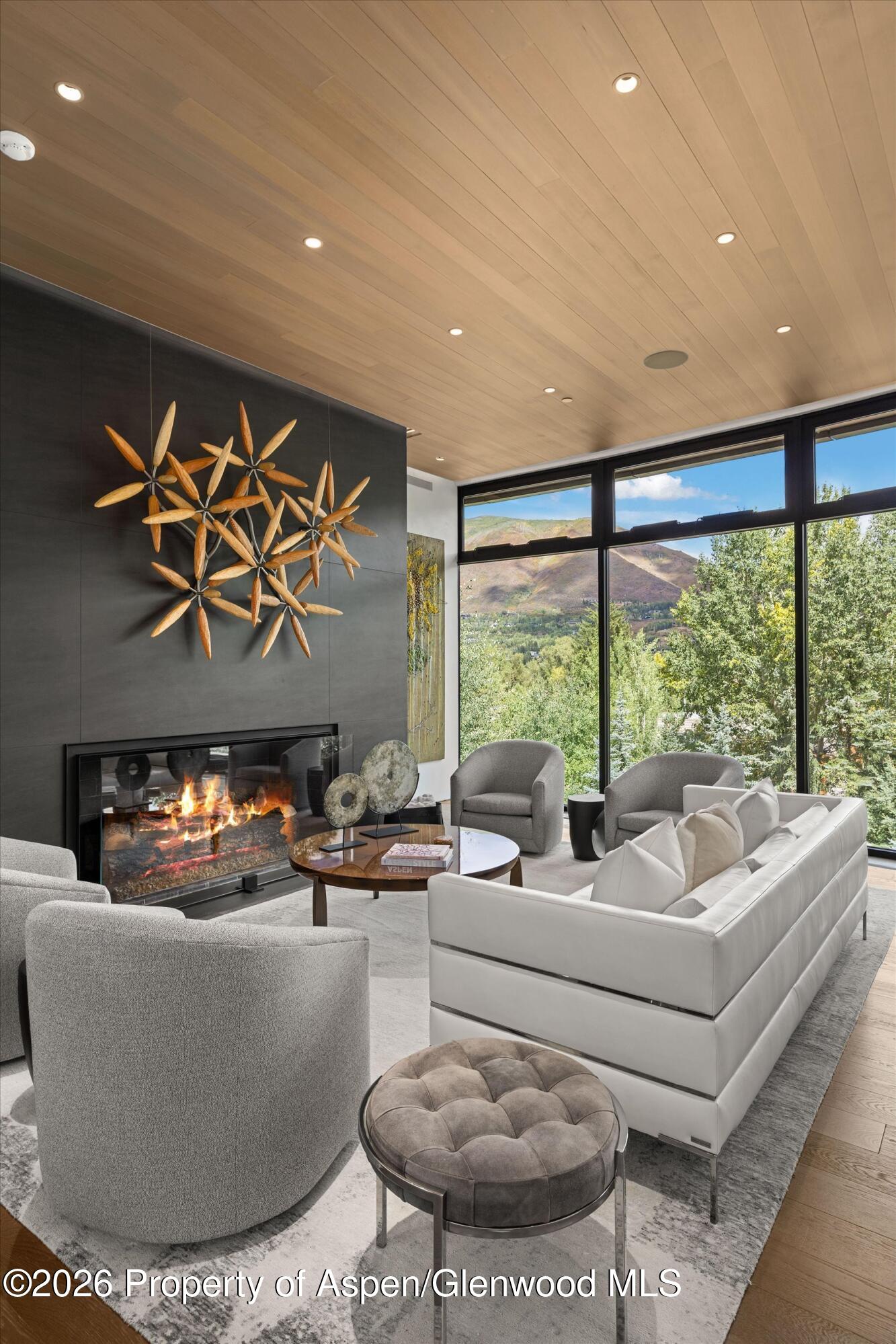 19 Little Cloud Trail Aspen CO 81611