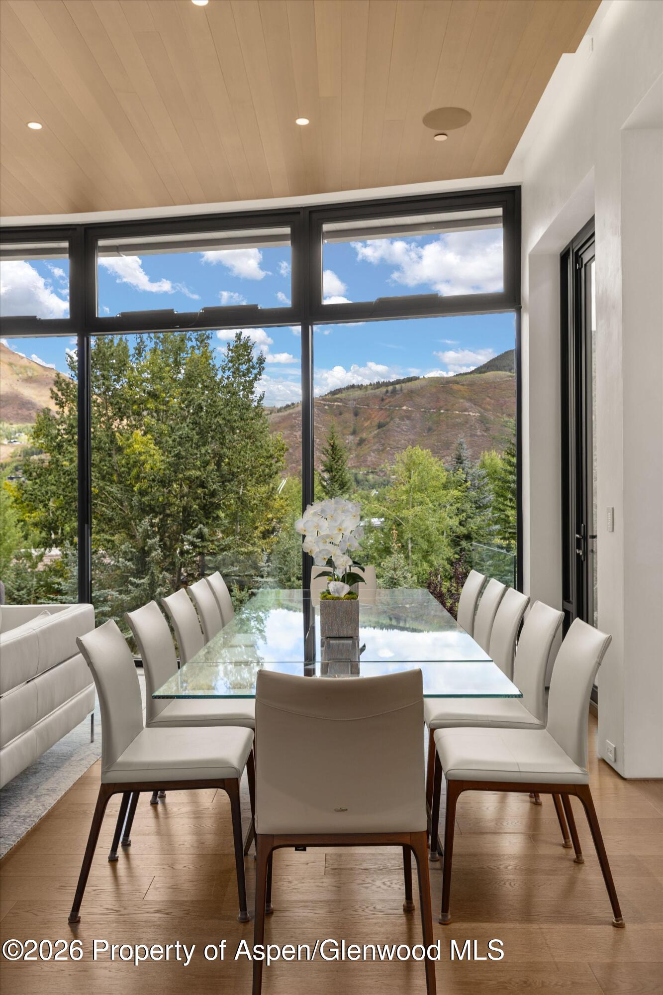 19 Little Cloud Trail Aspen CO 81611