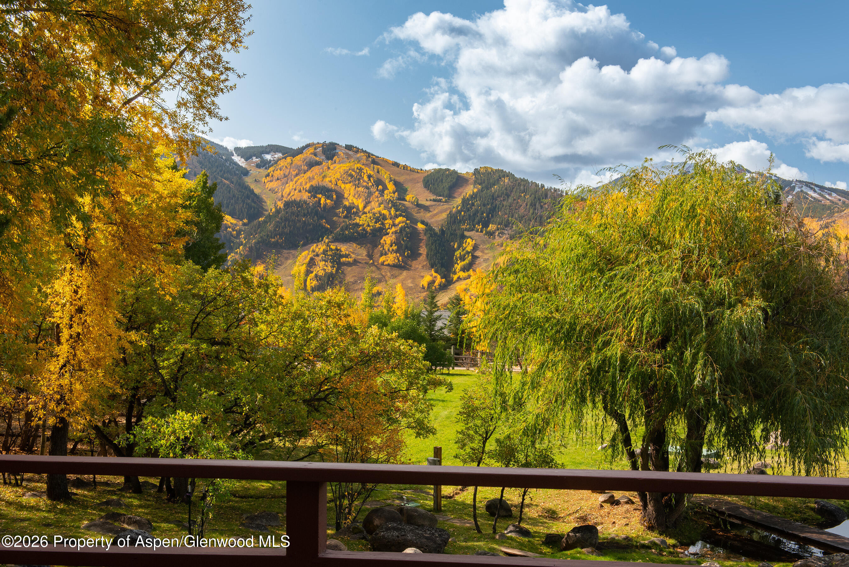 209 E Reds Road Aspen CO 81611