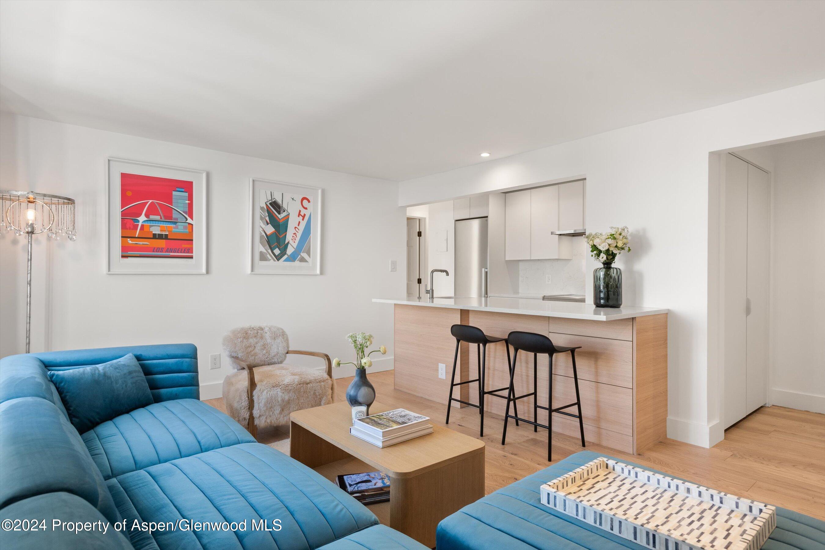 119 E Cooper Avenue Aspen CO 81611