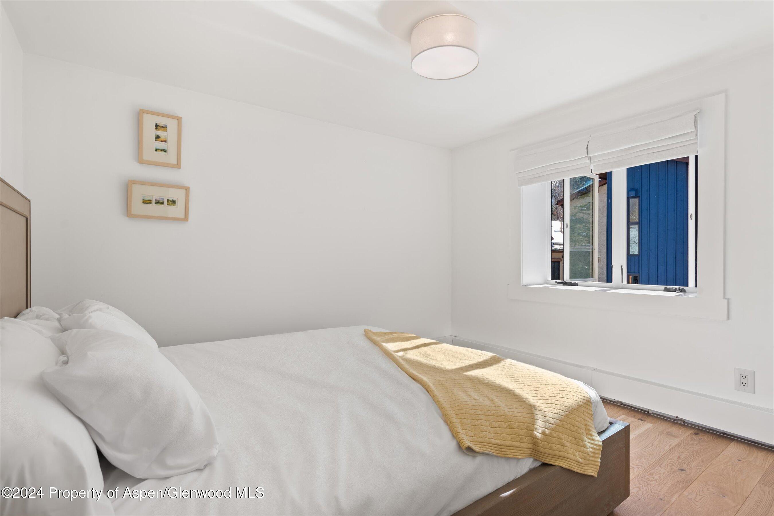 119 E Cooper Avenue Aspen CO 81611