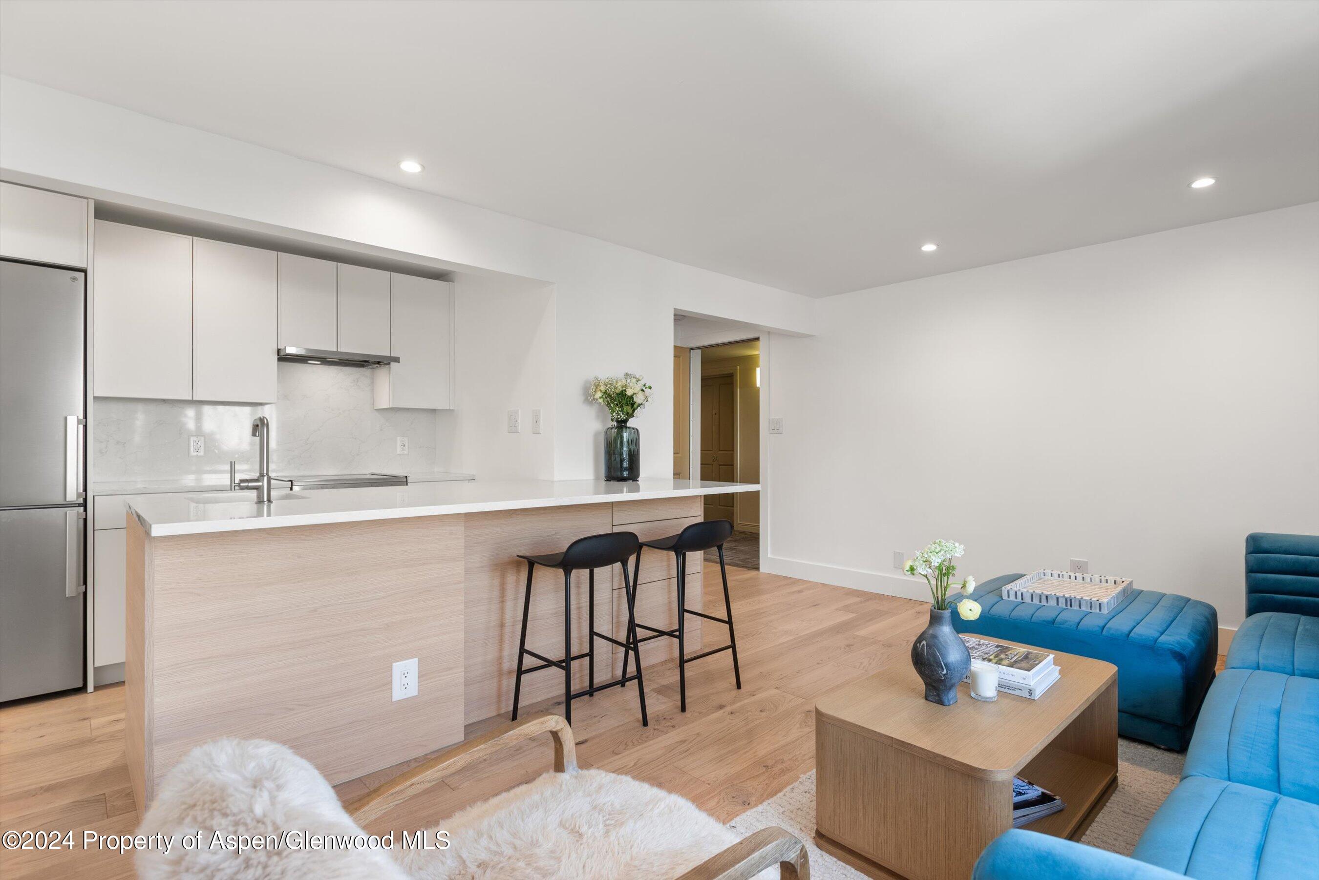 119 E Cooper Avenue Aspen CO 81611