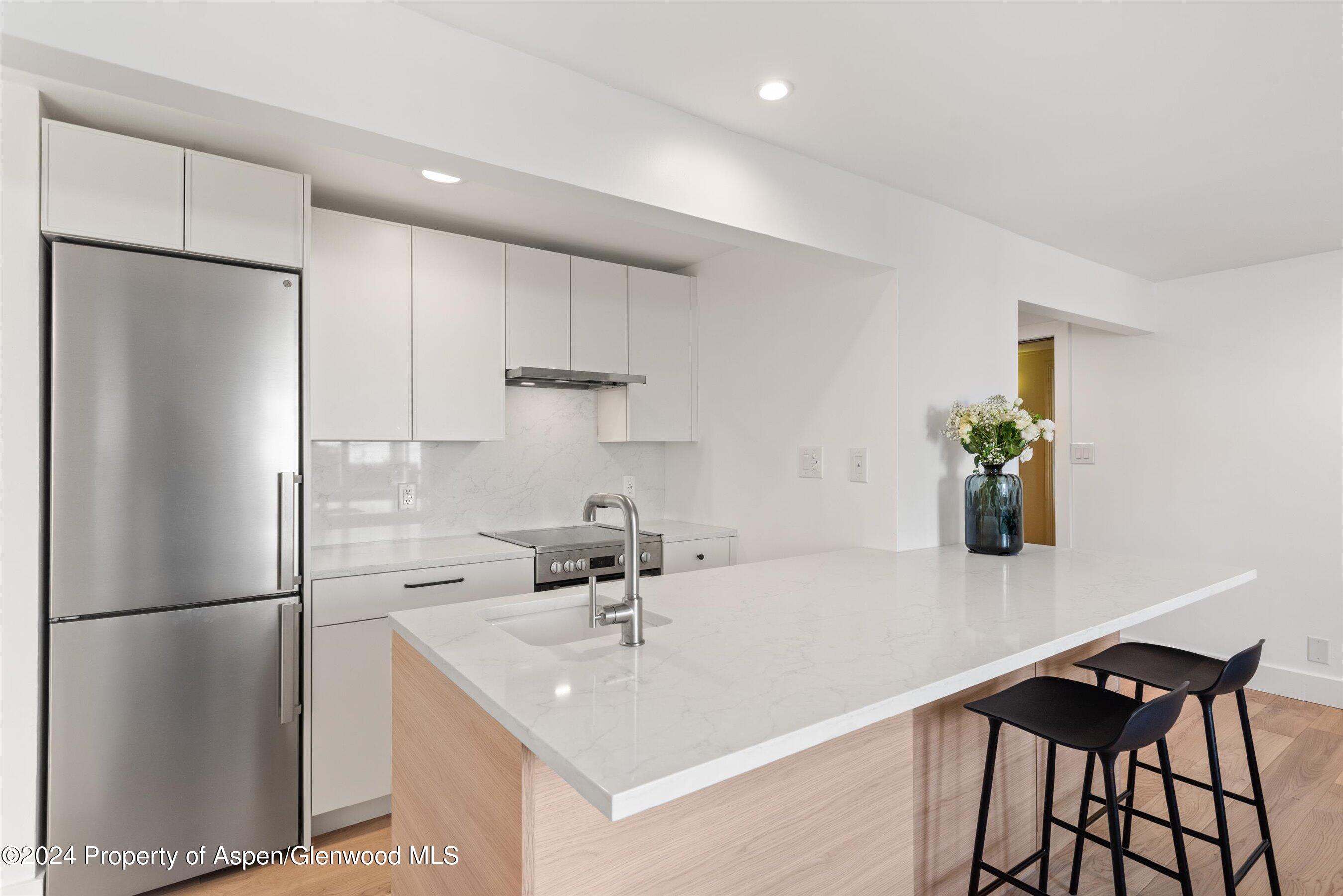 119 E Cooper Avenue Aspen CO 81611