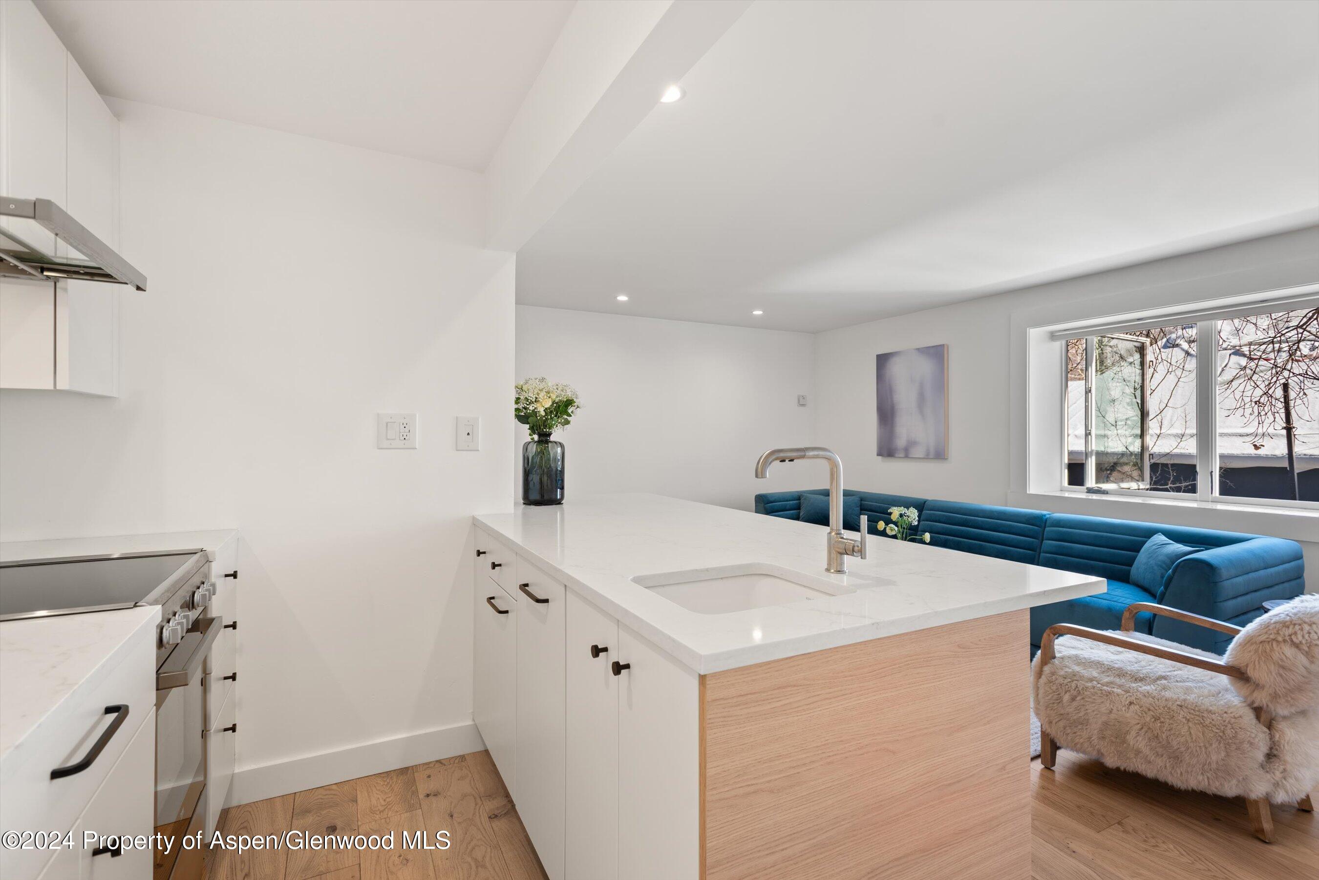 119 E Cooper Avenue Aspen CO 81611