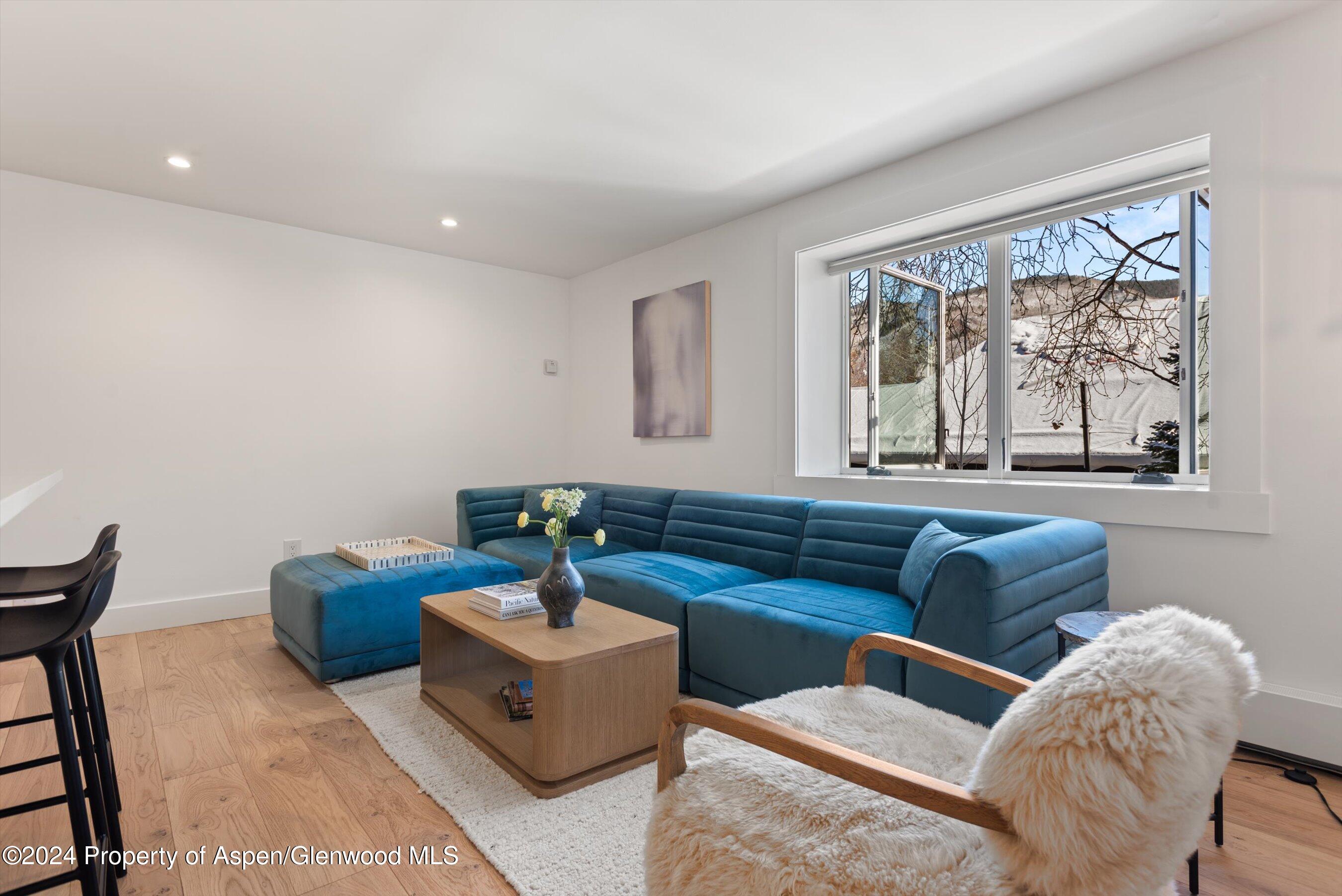 119 E Cooper Avenue Aspen CO 81611