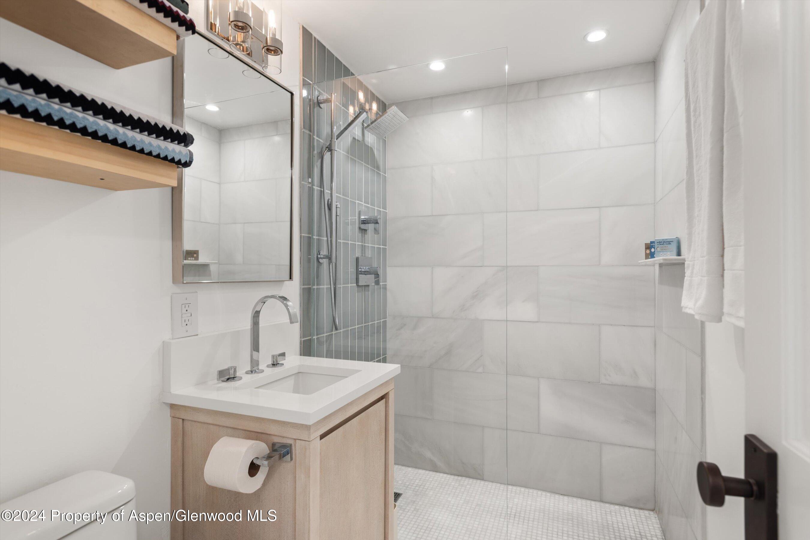 119 E Cooper Avenue Aspen CO 81611