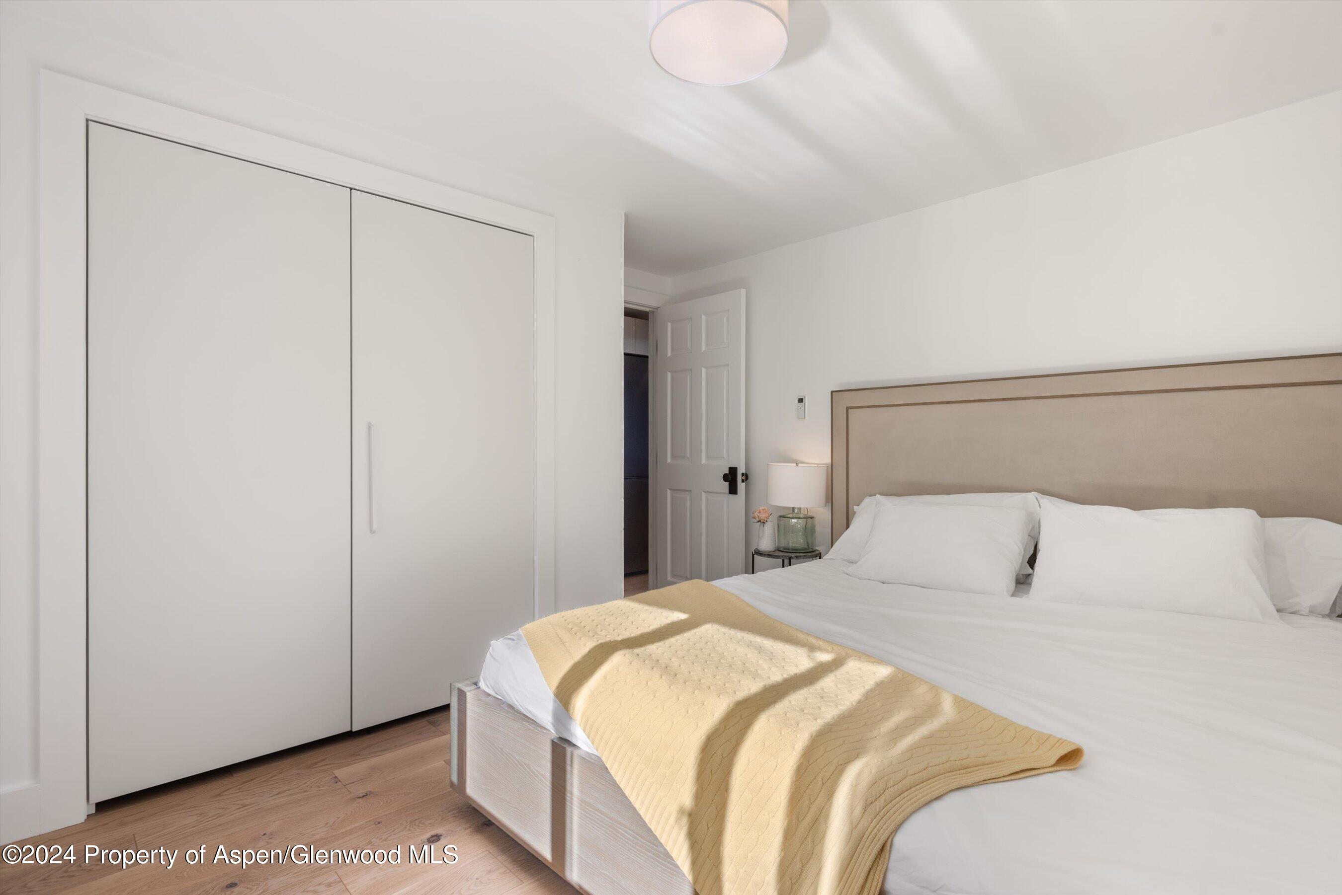 119 E Cooper Avenue Aspen CO 81611