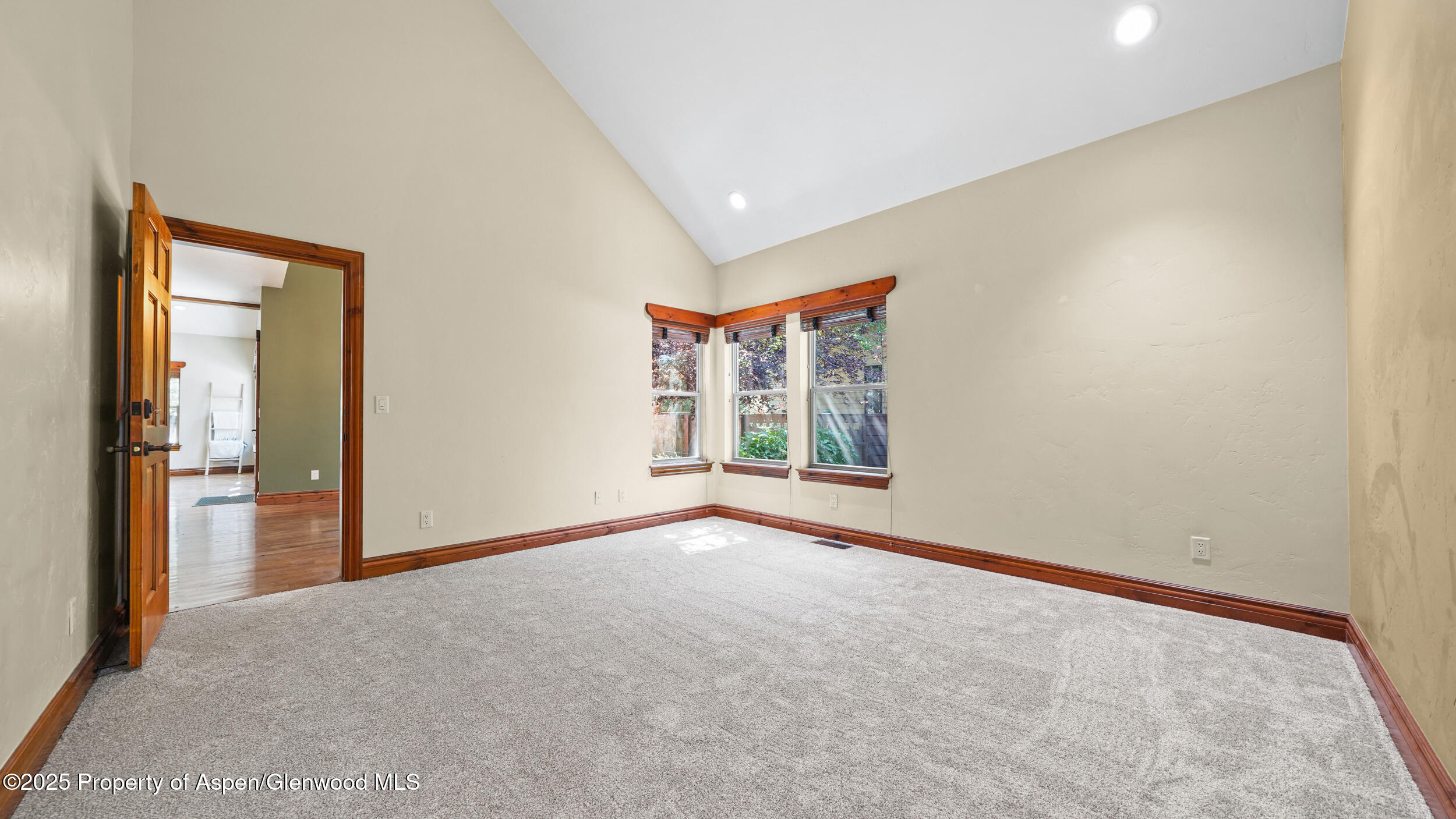 225 Juniper Court Basalt CO 81621