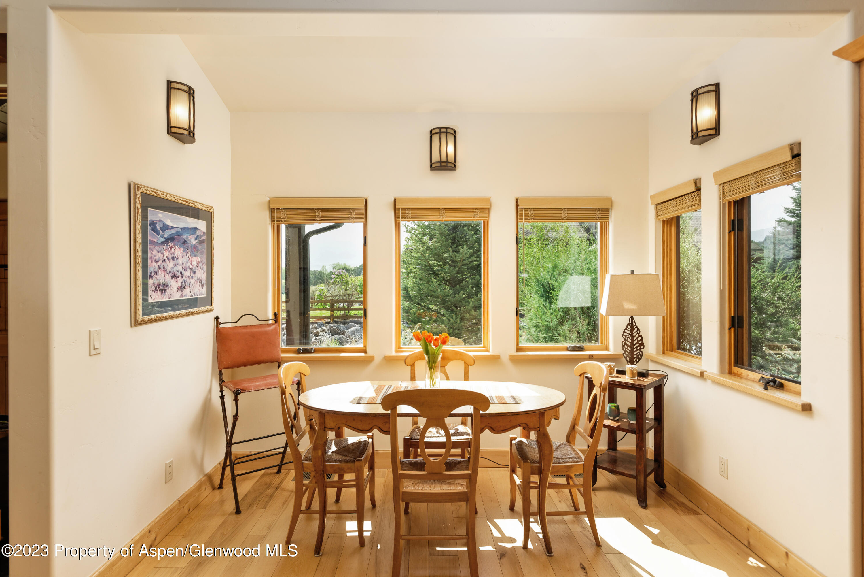 4072 Crystal Bridge Drive Carbondale CO 81623