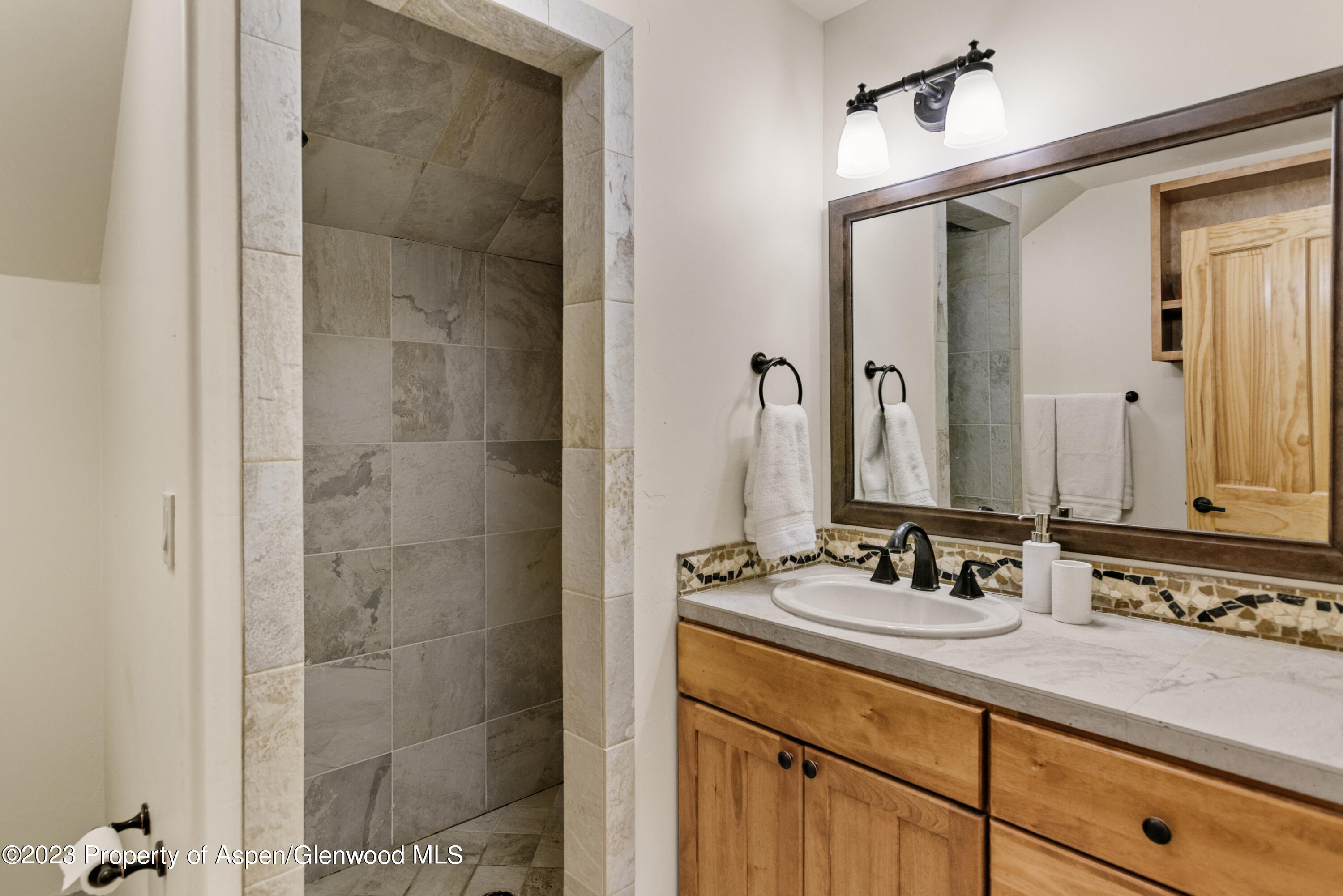 4072 Crystal Bridge Drive Carbondale CO 81623