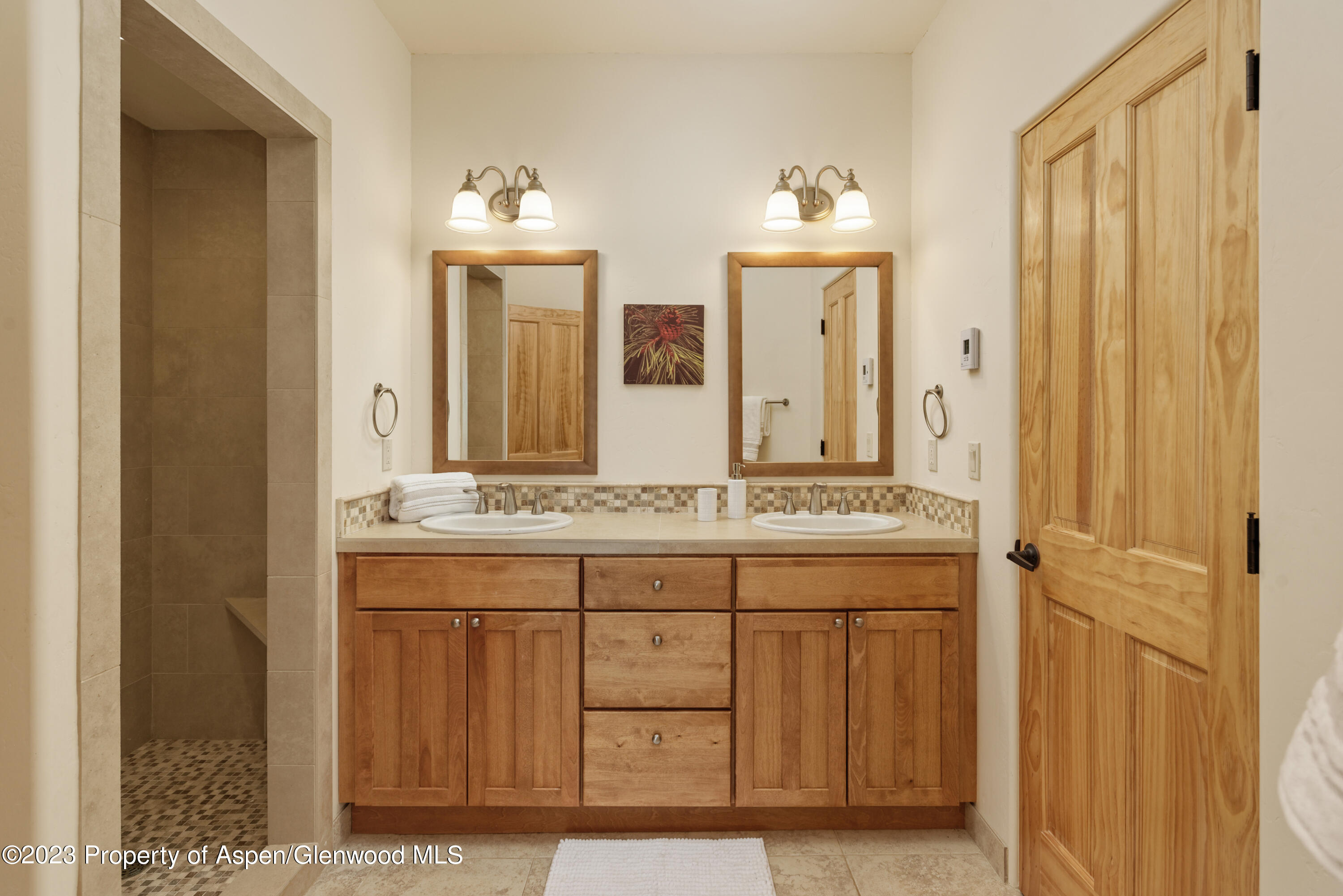 4072 Crystal Bridge Drive Carbondale CO 81623