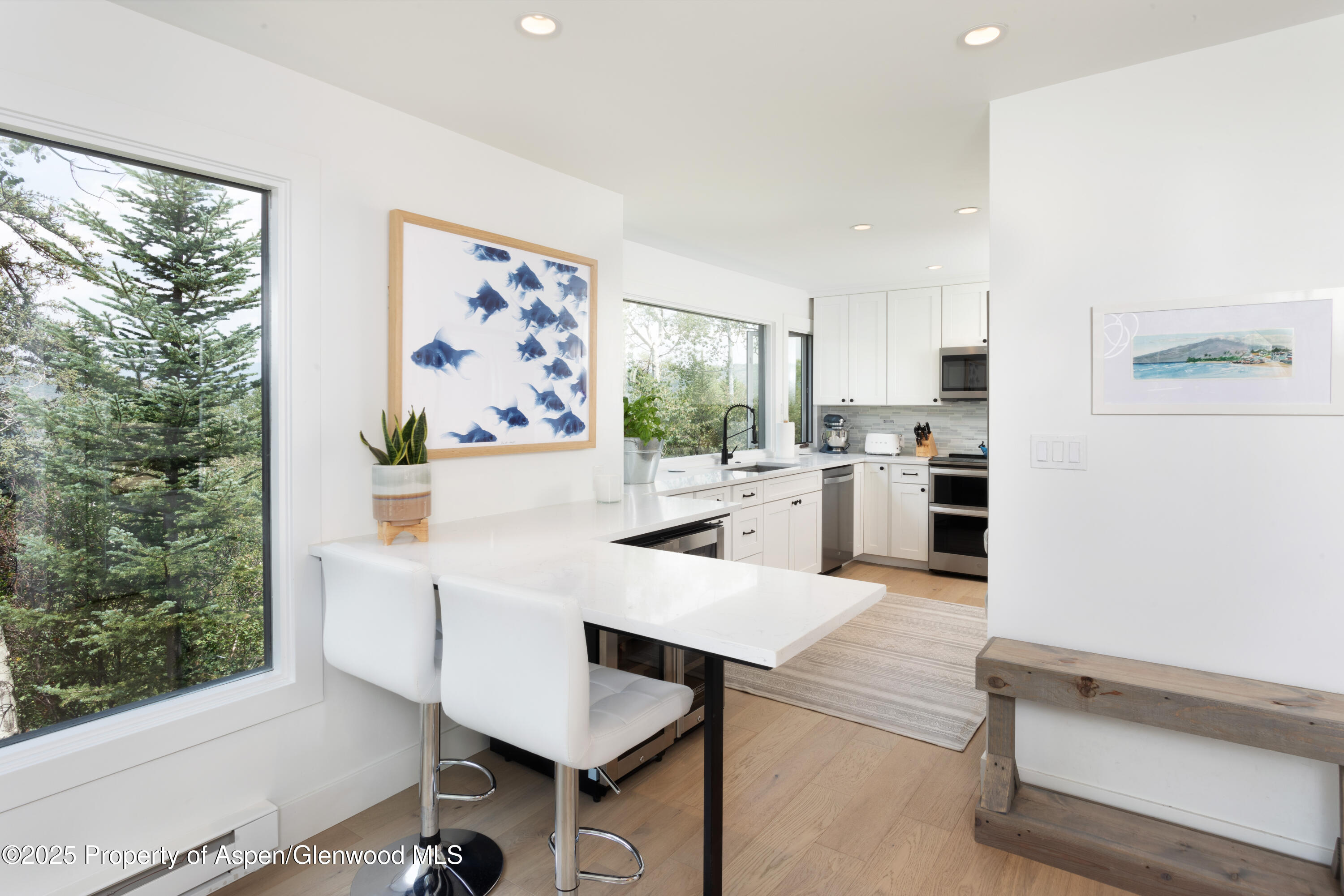 145 N Ridge Lane Snowmass Village CO 81615