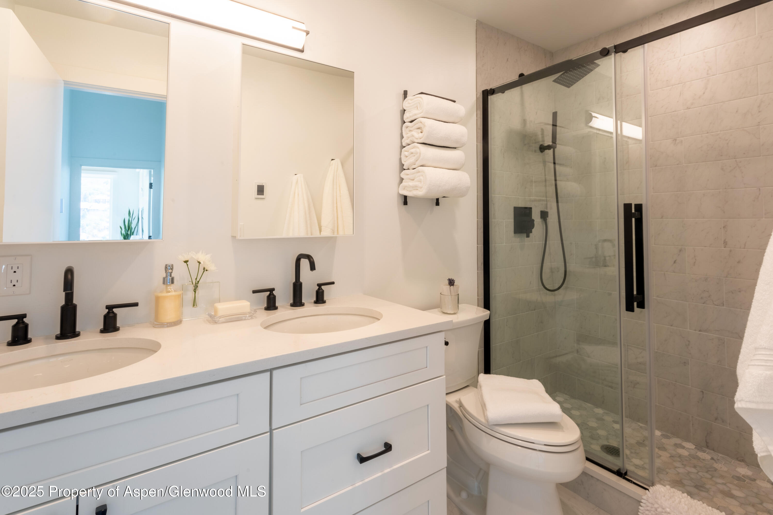 145 N Ridge Lane Snowmass Village CO 81615