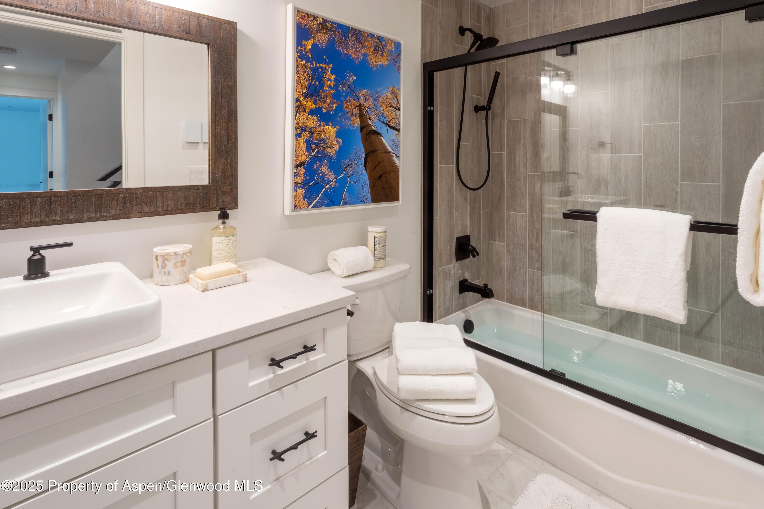 145 N Ridge Lane Snowmass Village CO 81615