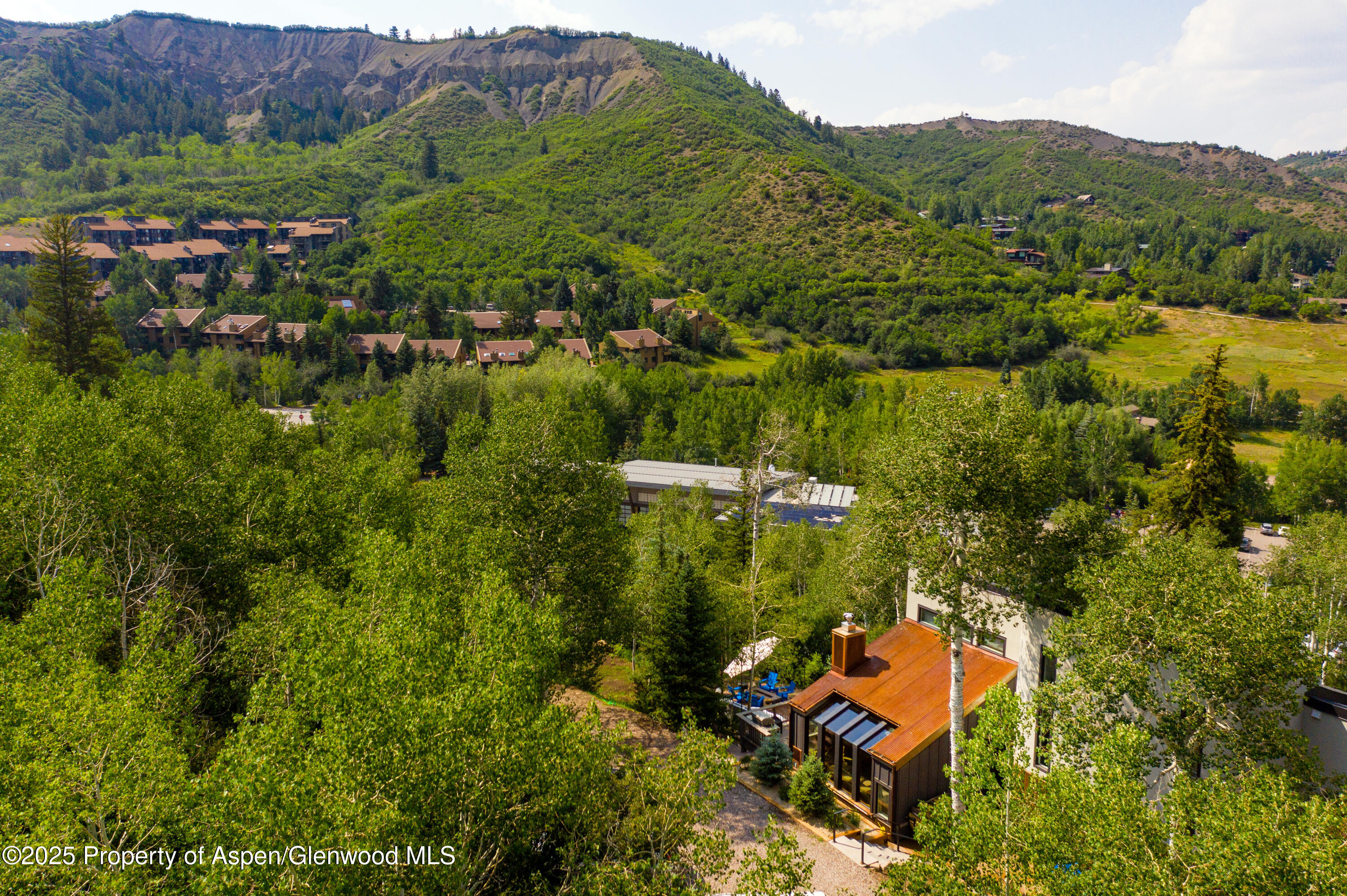 145 N Ridge Lane Snowmass Village CO 81615