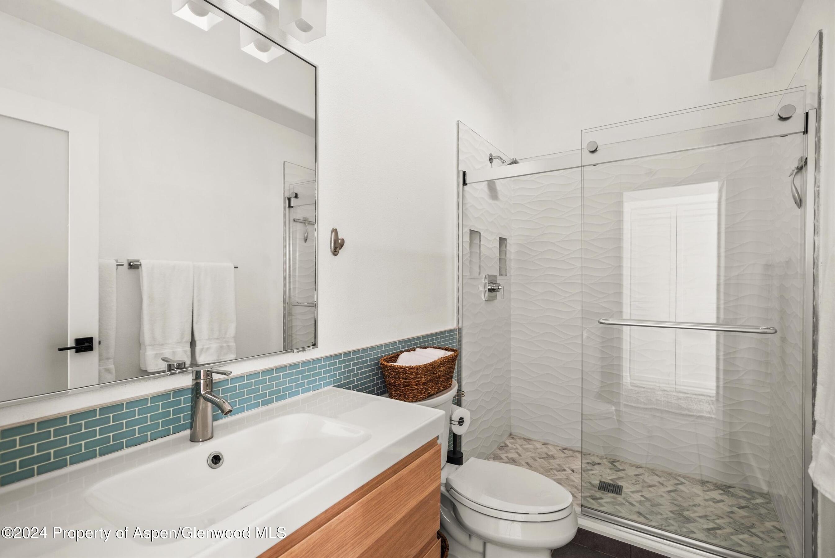 2024 Arbor Park Drive Basalt CO 81621