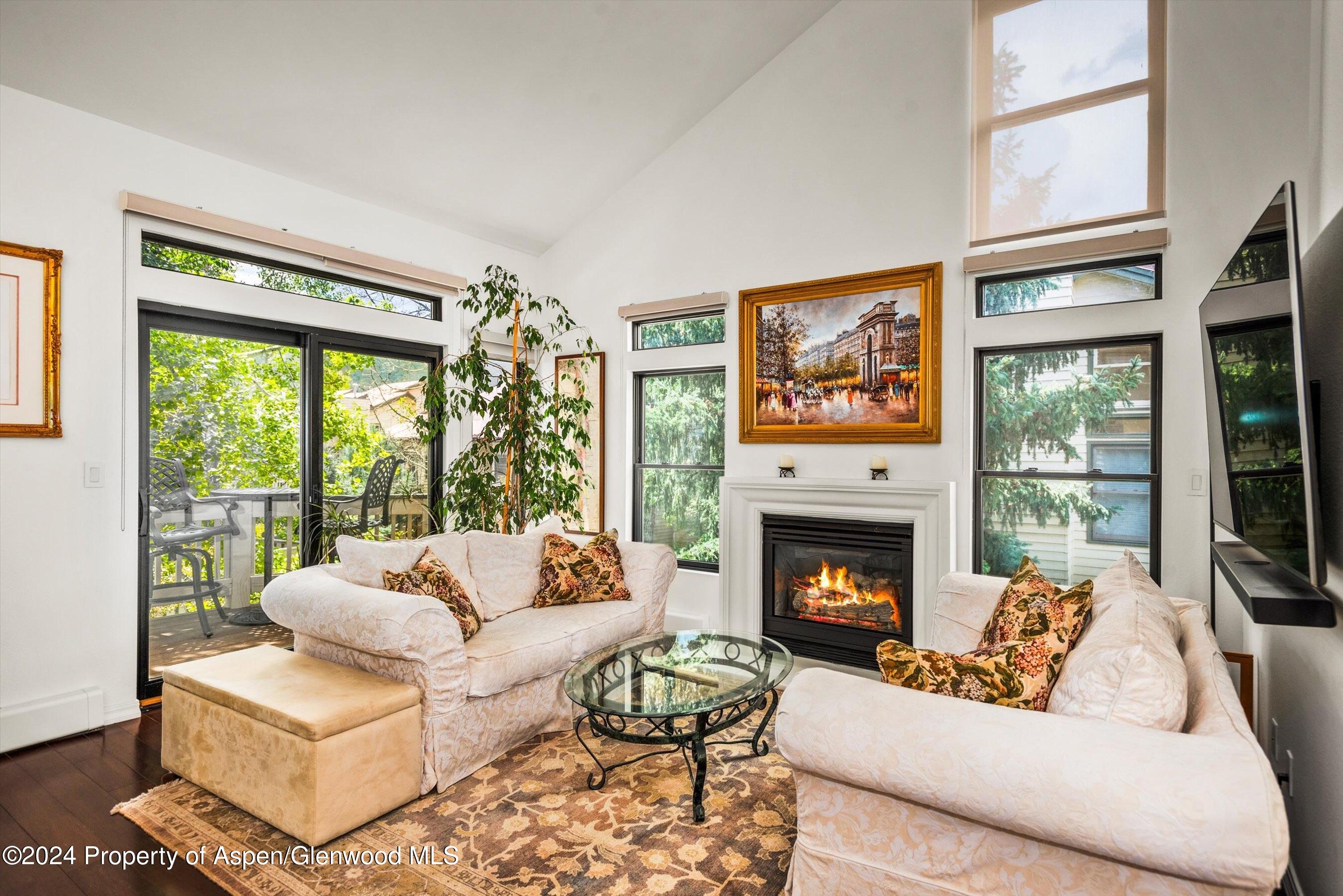 2024 Arbor Park Drive Basalt CO 81621