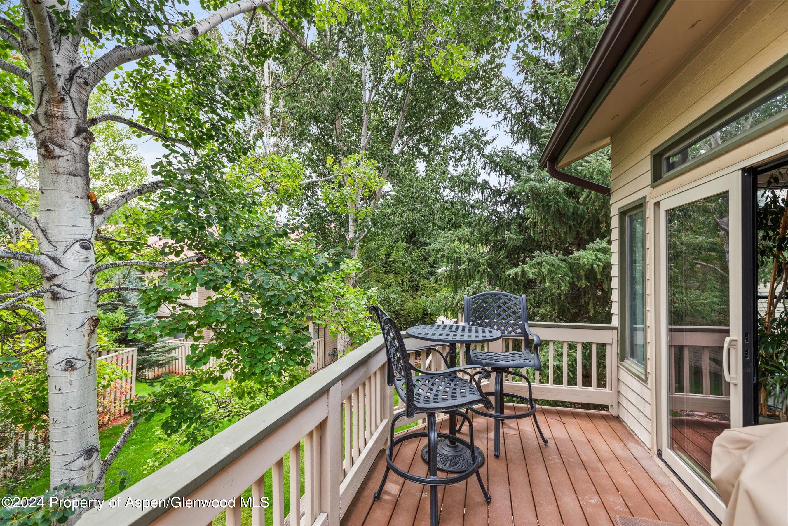 2024 Arbor Park Drive Basalt CO 81621