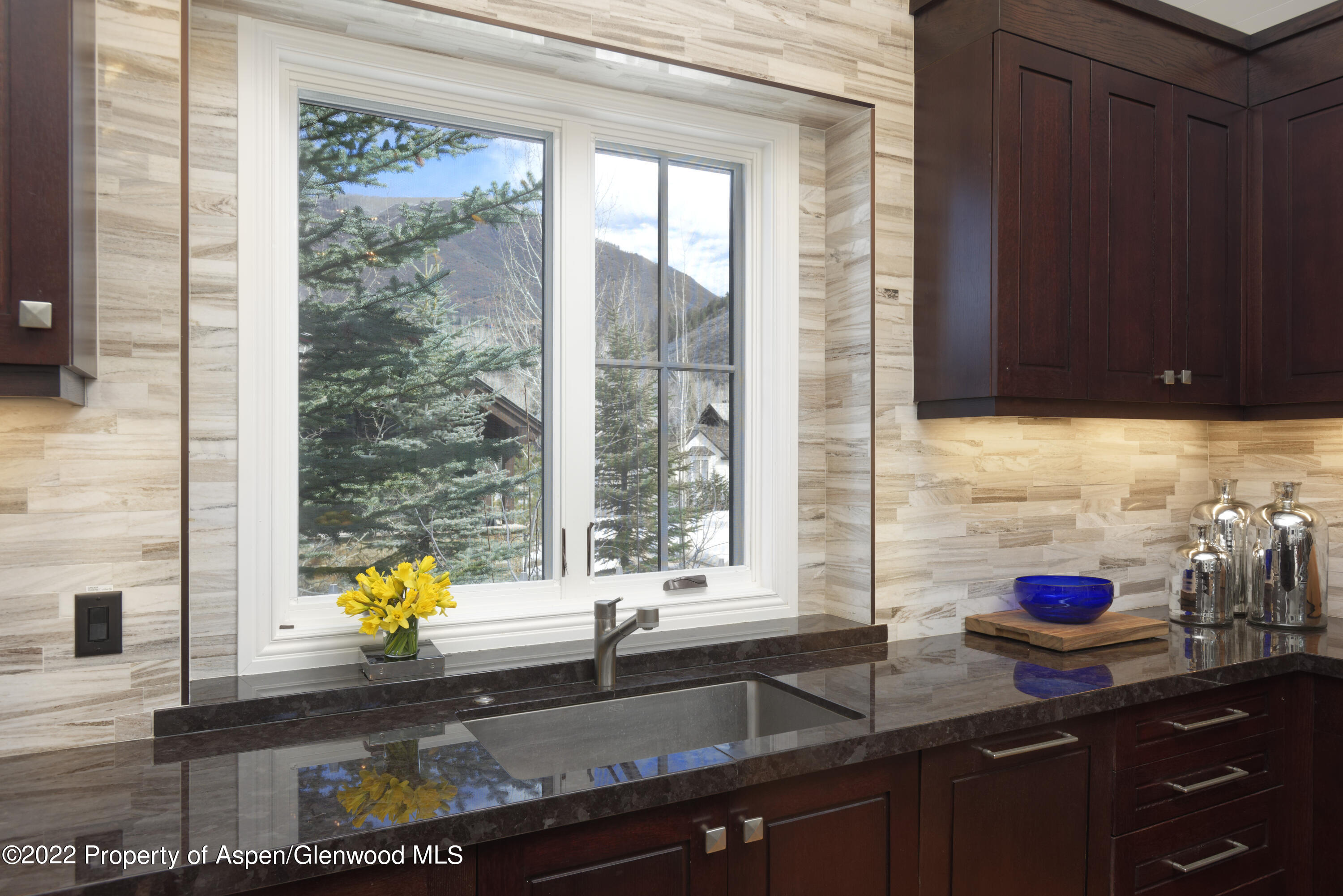 511 Walnut Street Aspen CO 81611