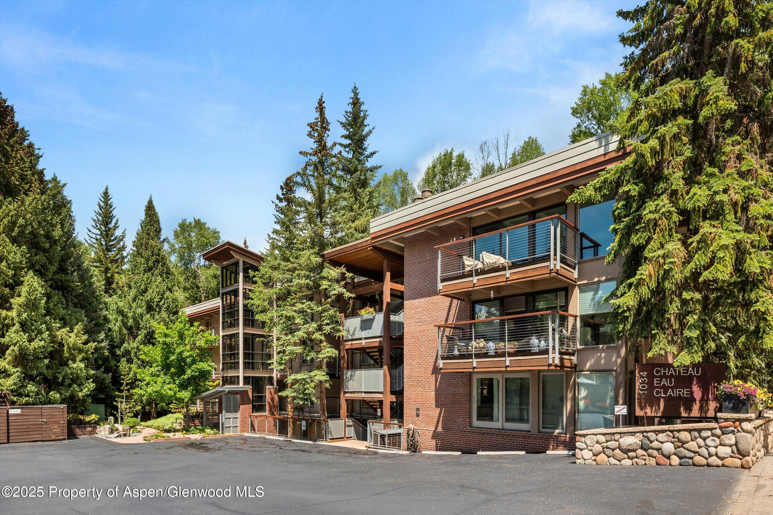 1034 E Cooper Avenue Aspen CO 81611