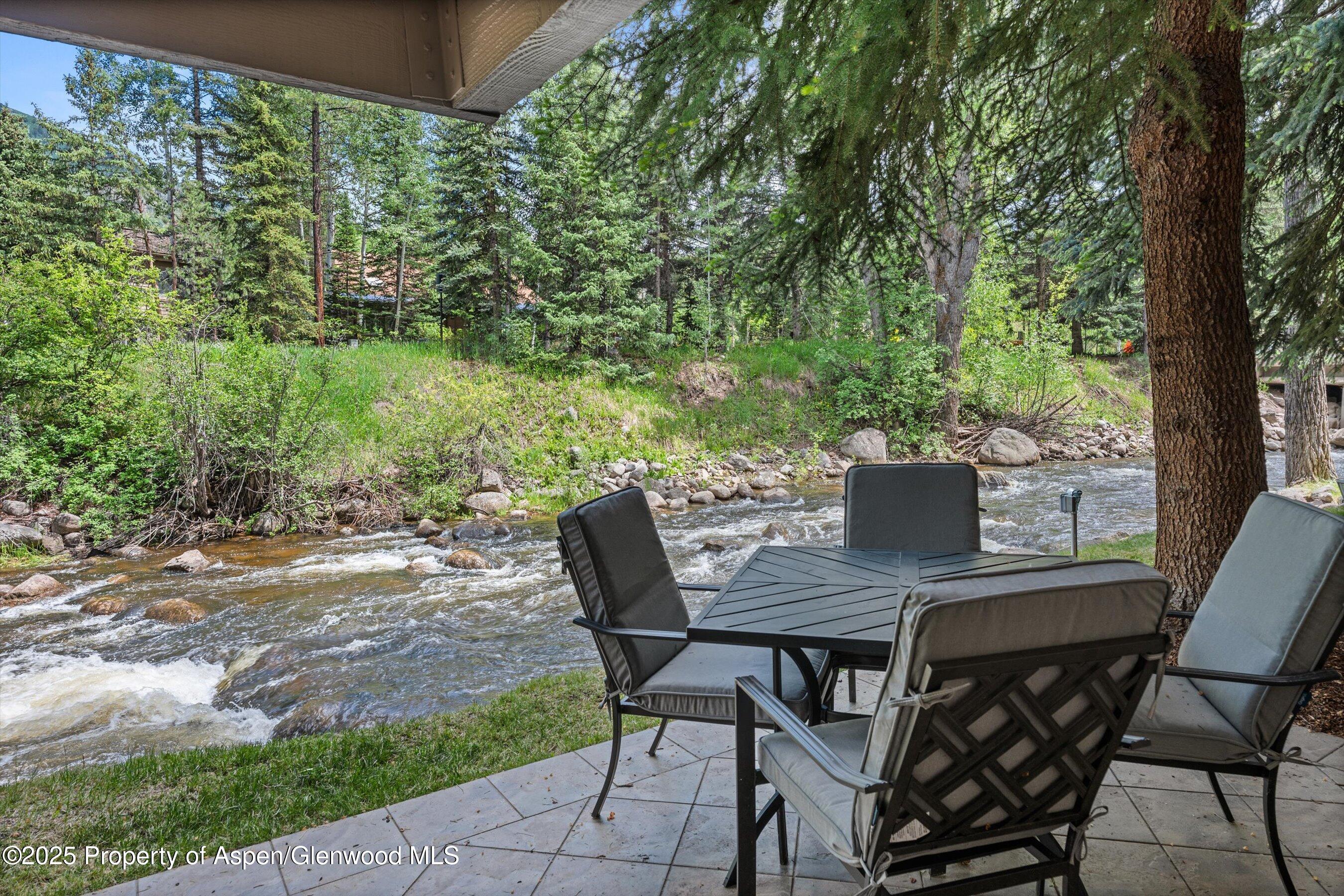 1034 E Cooper Avenue Aspen CO 81611