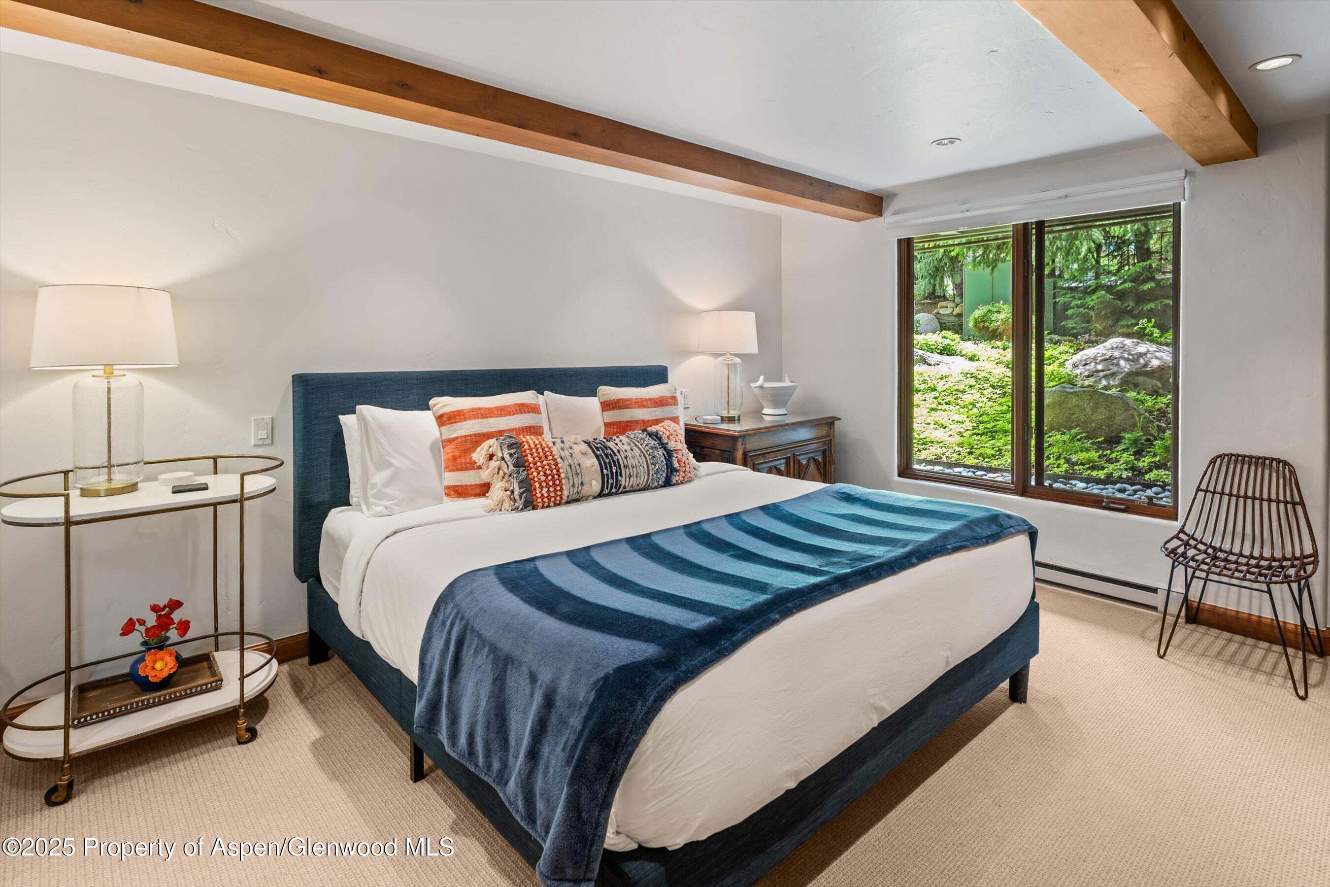 1034 E Cooper Avenue Aspen CO 81611