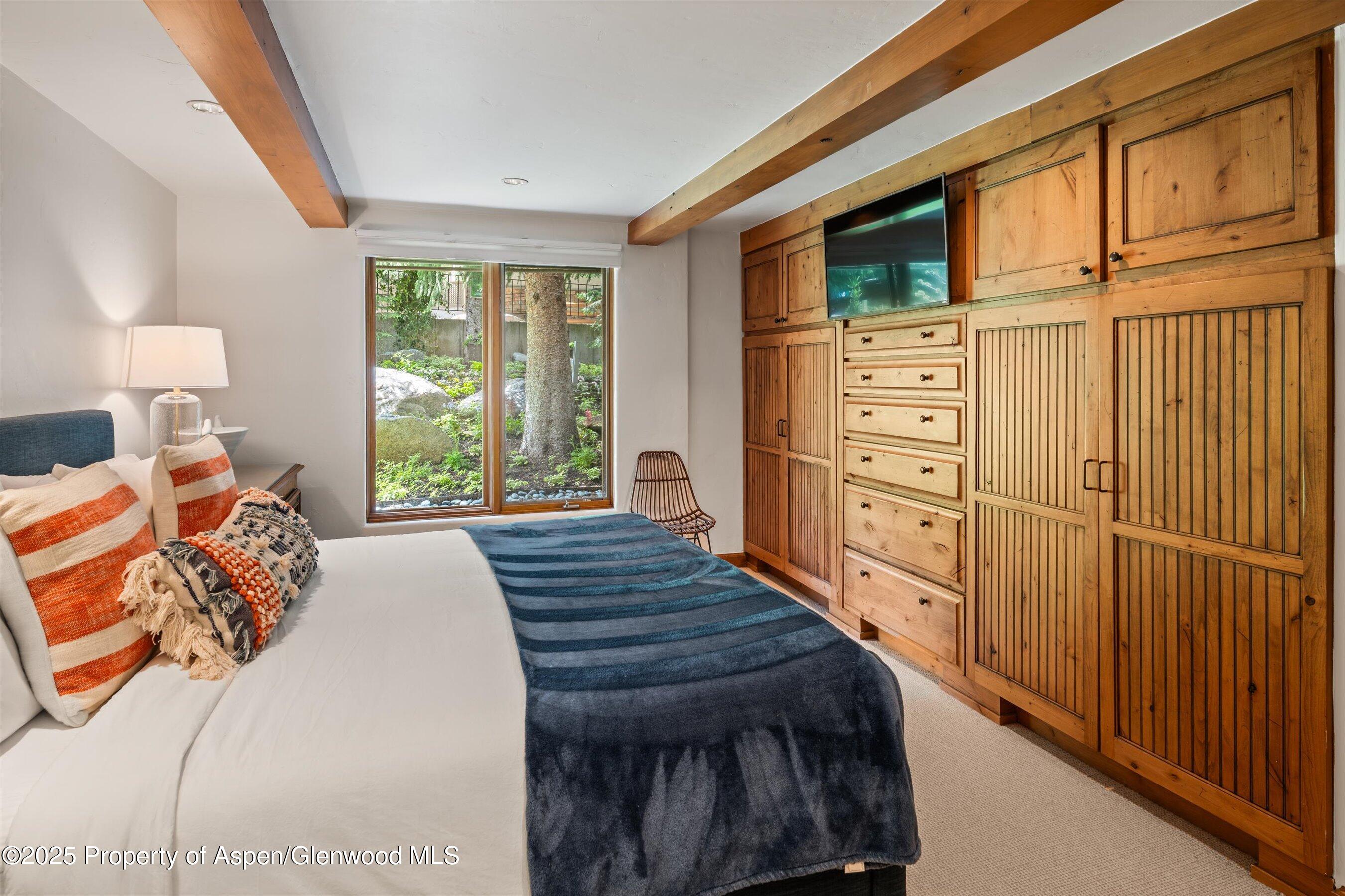 1034 E Cooper Avenue Aspen CO 81611